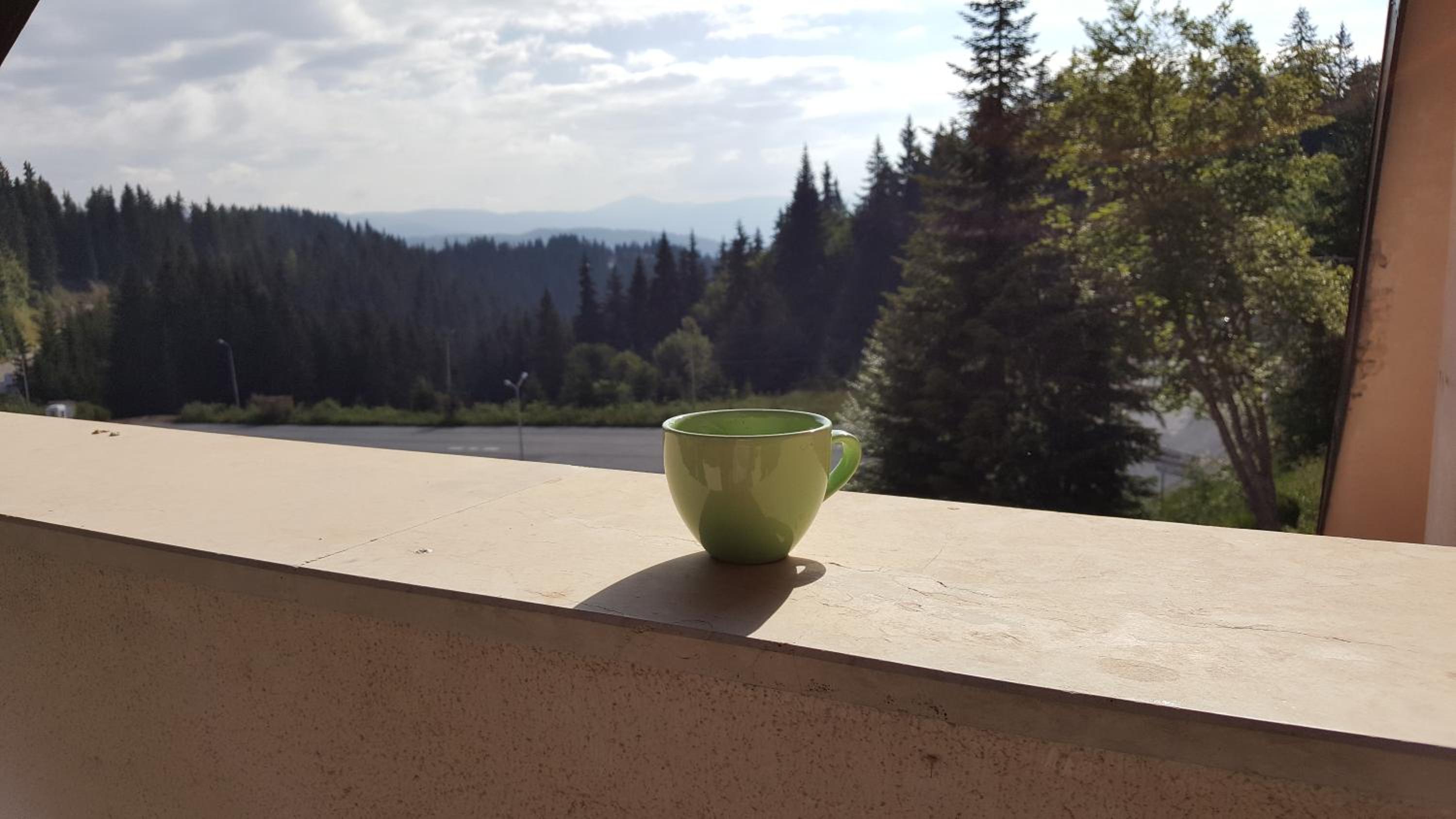 Papa Moose Pamporovo view 4