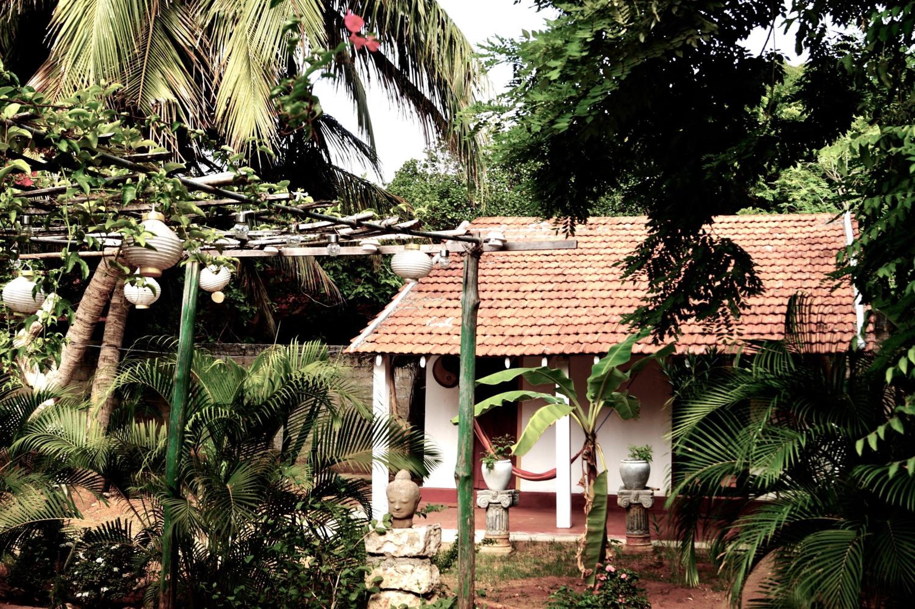 Photo 6