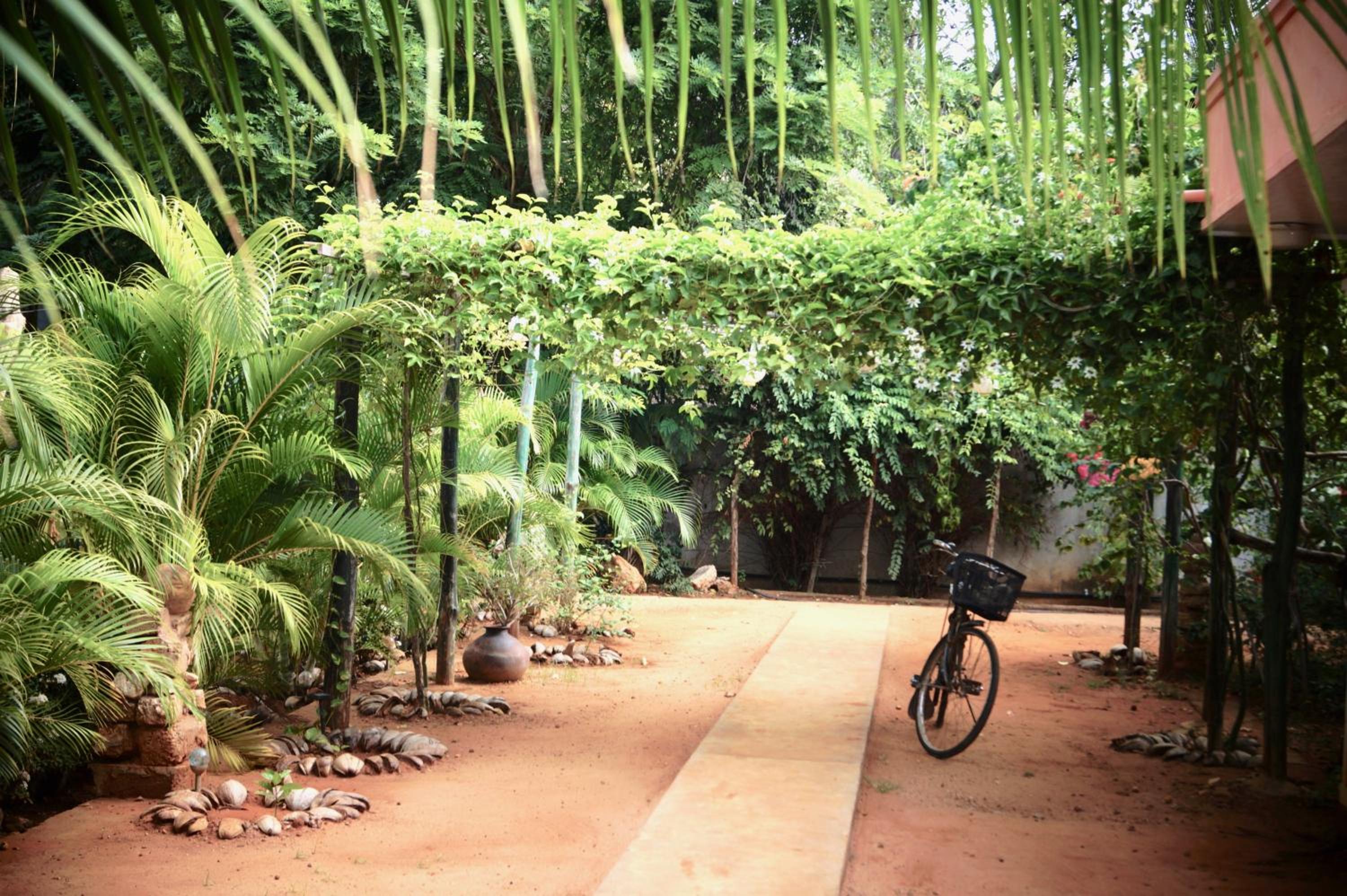 Allens home stay view 5