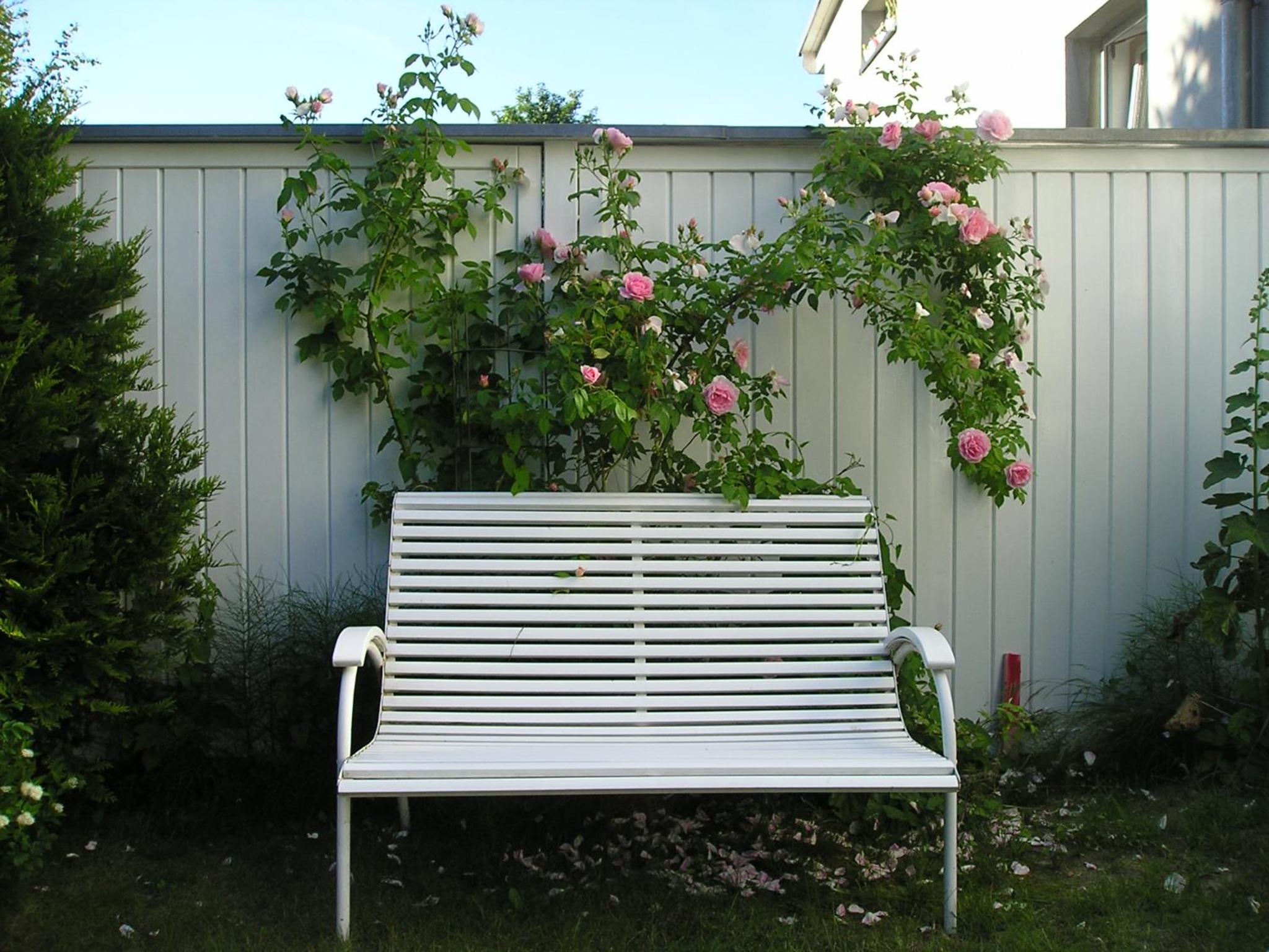 Photo 49
