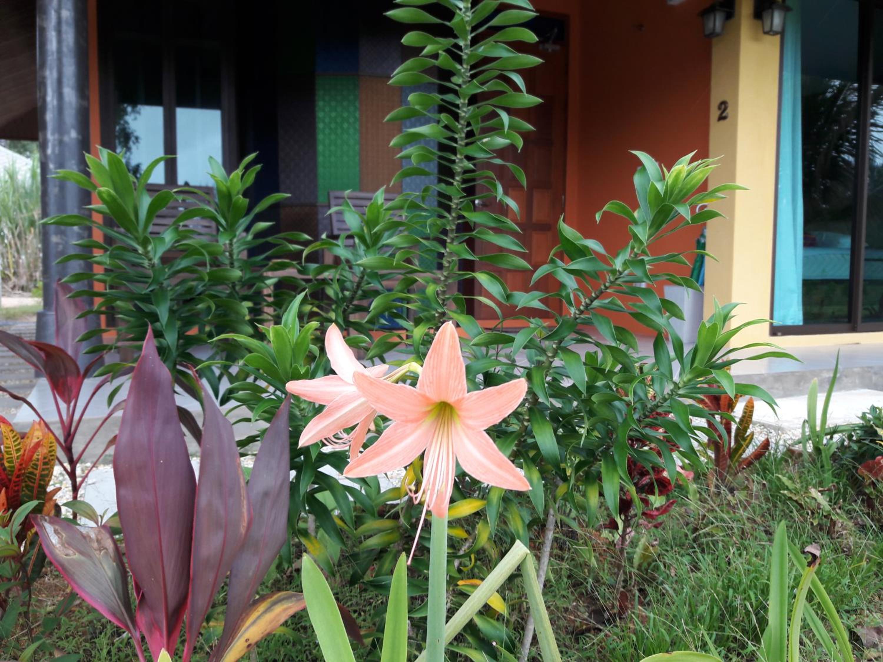 Photo 25