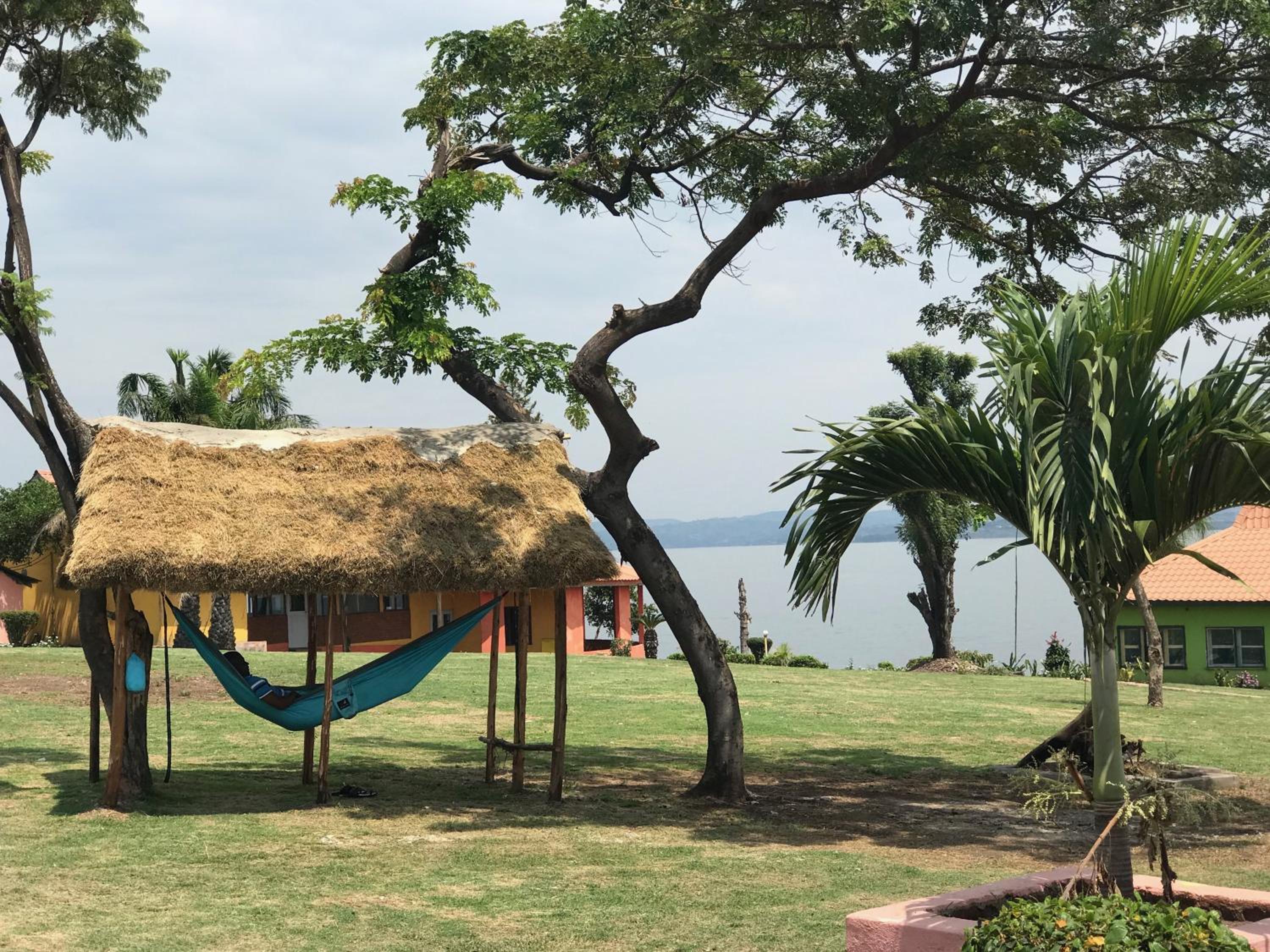 Photo 32
