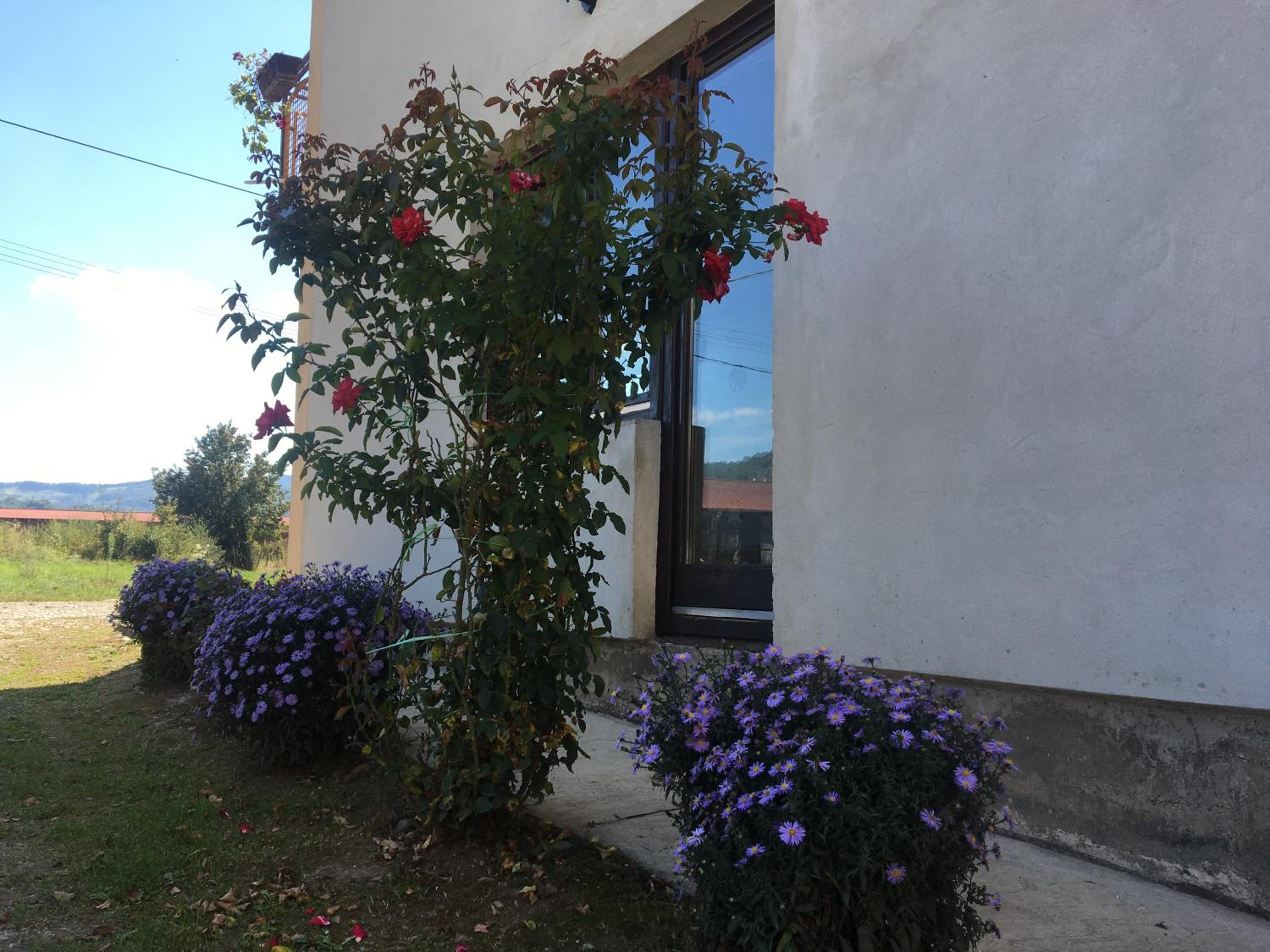 Photo 45