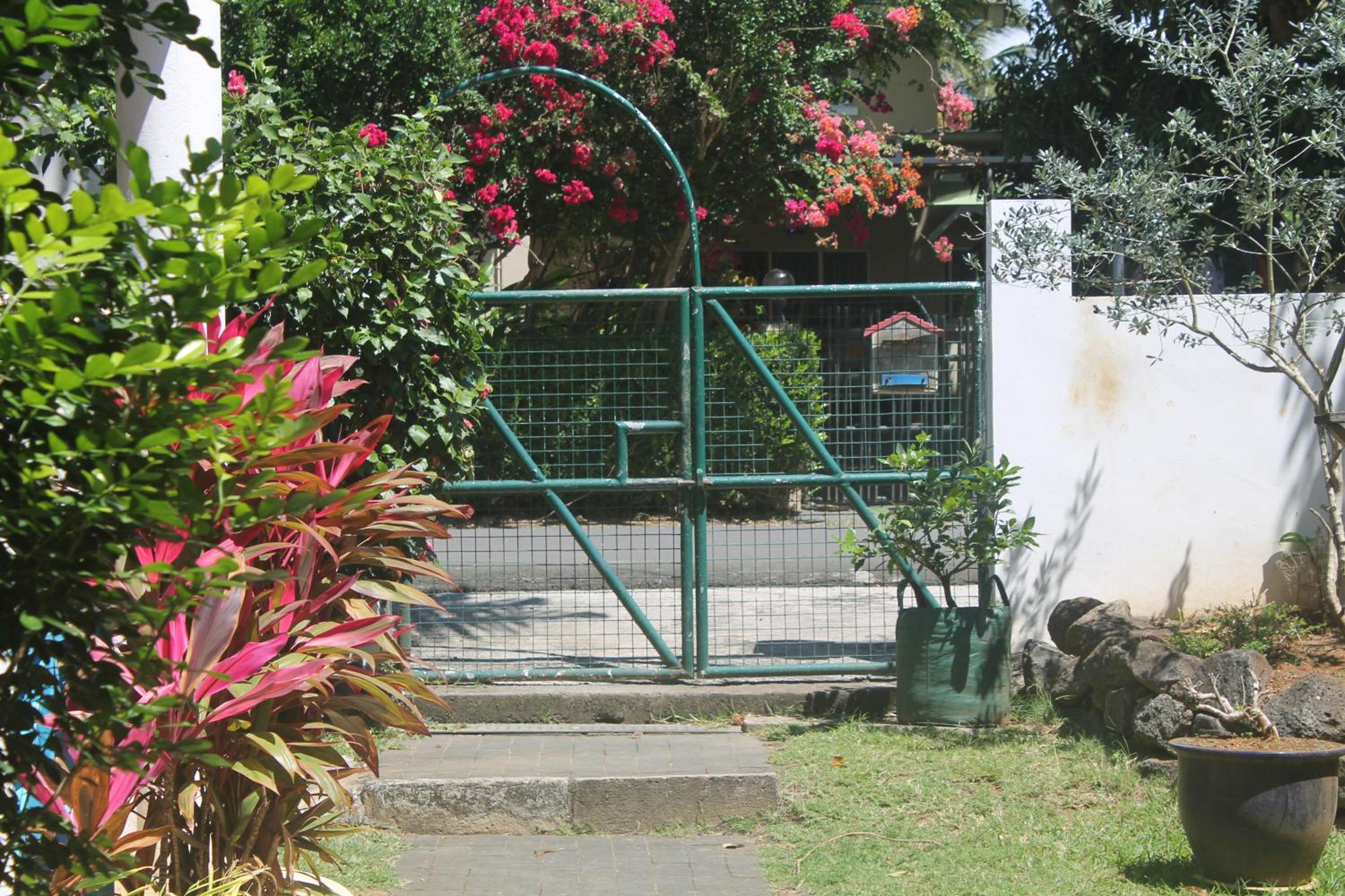 Photo 15