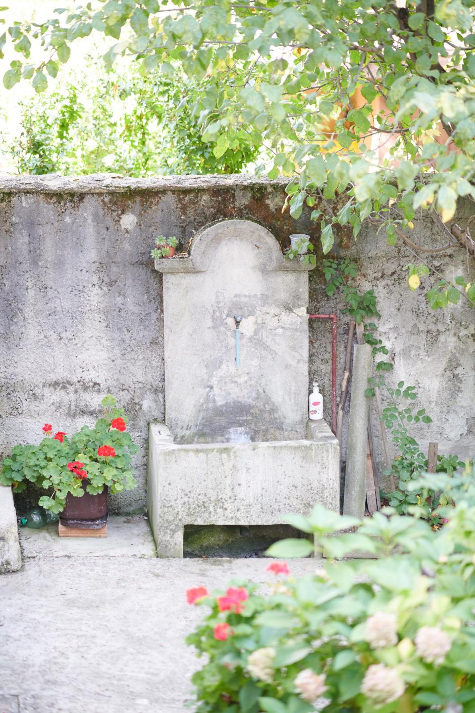 Photo 43