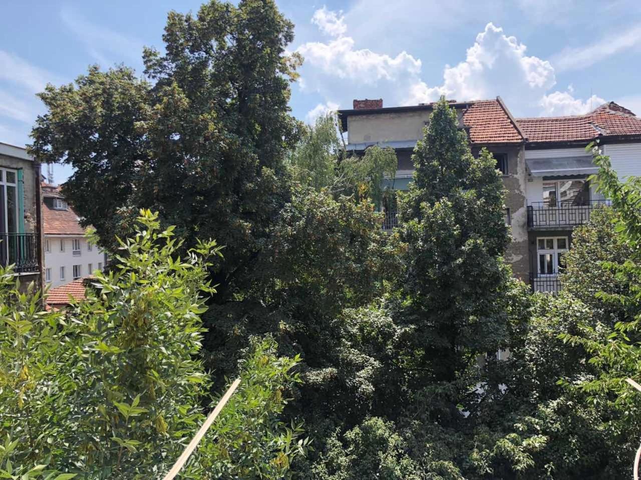 Top Center Apartment 7