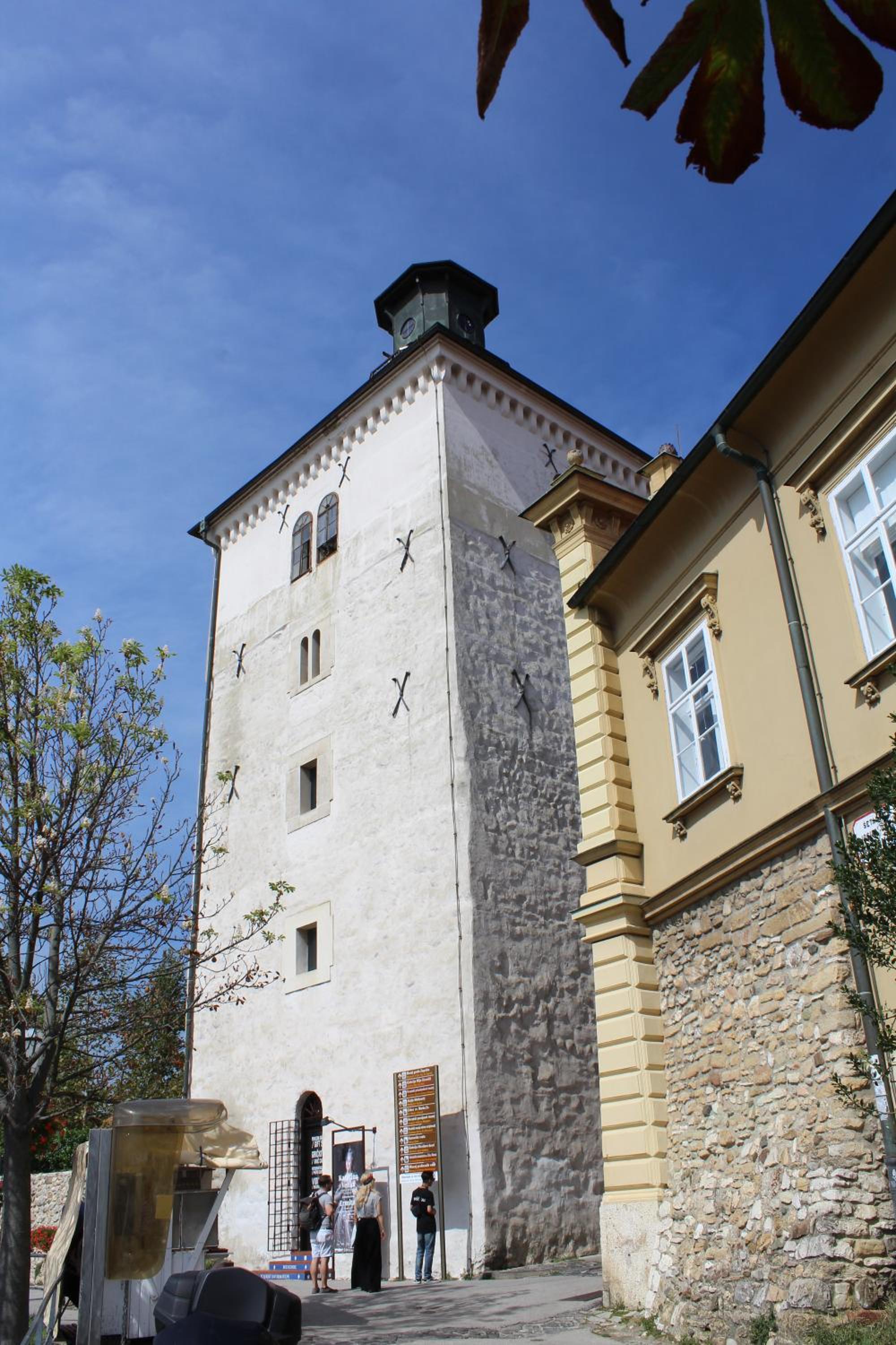 Photo 12