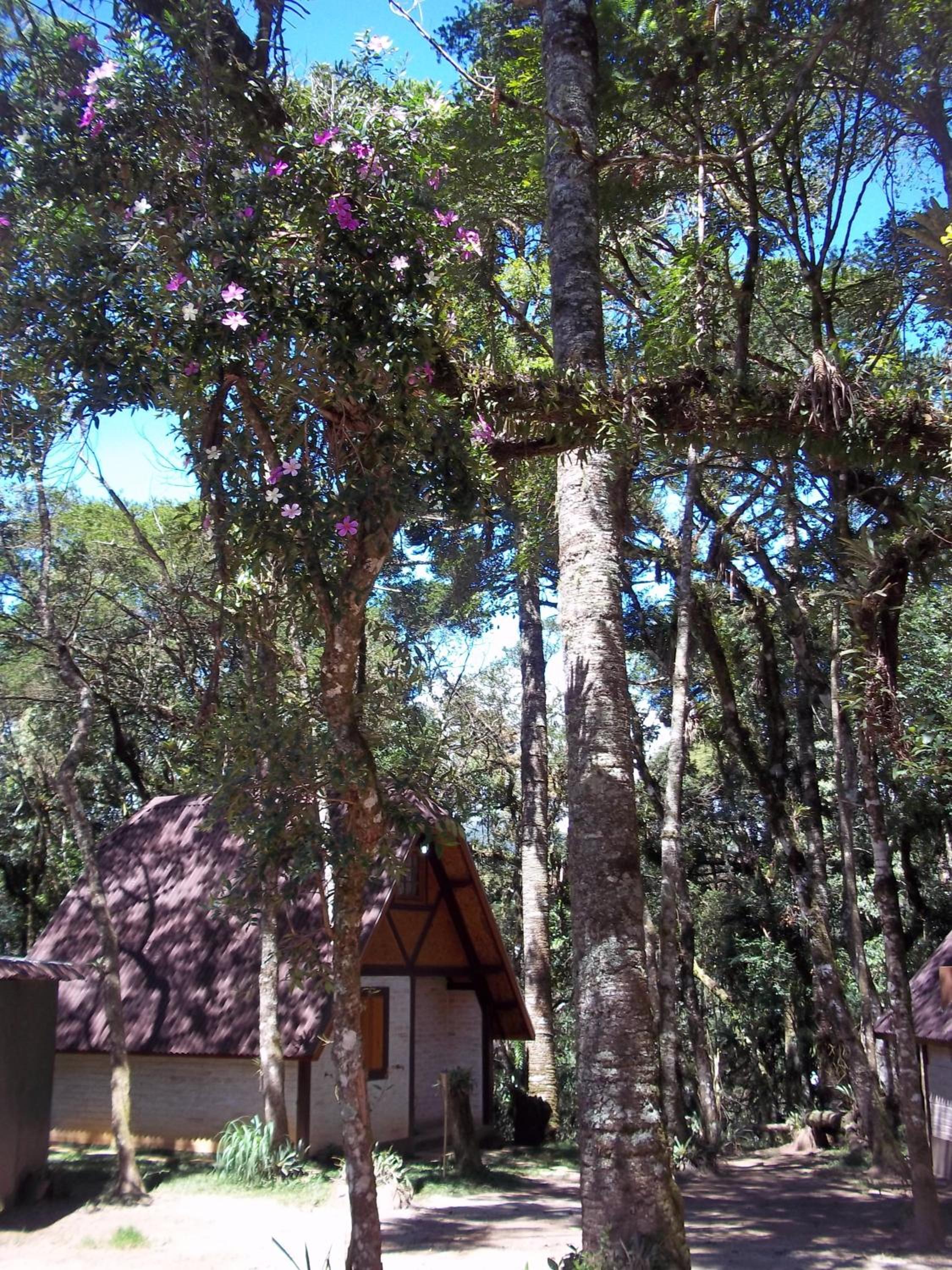 Ecos da Terra Chalés