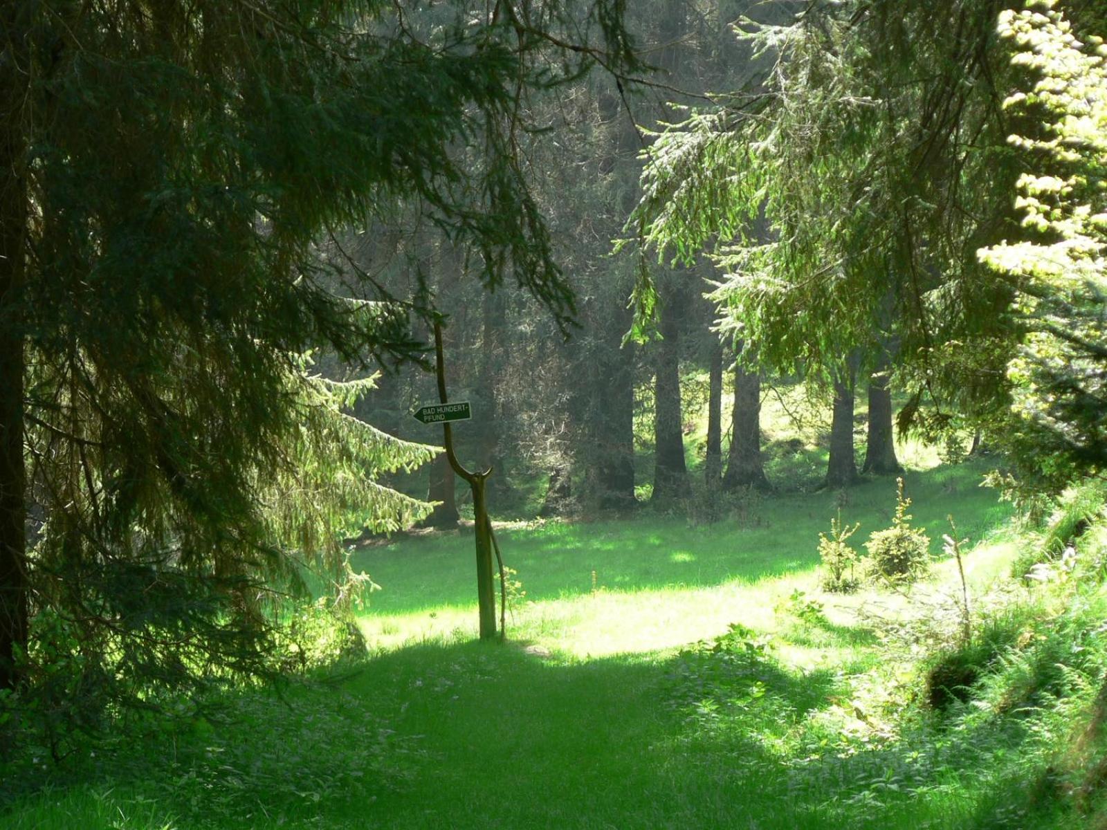 Ferienhaus Bad Hundertpfund Typ C