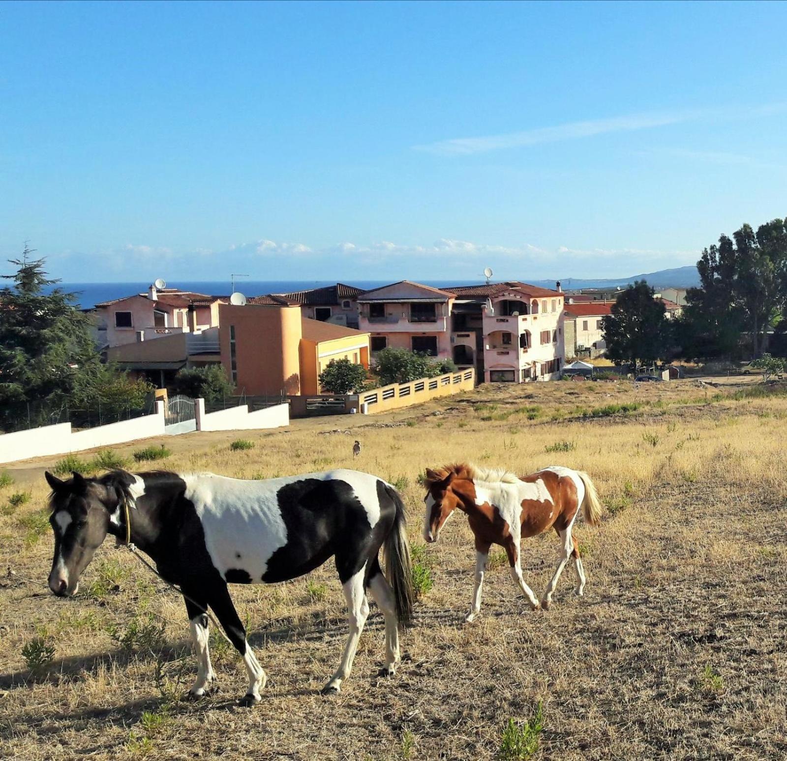 Casa Vacanze residence Cavour