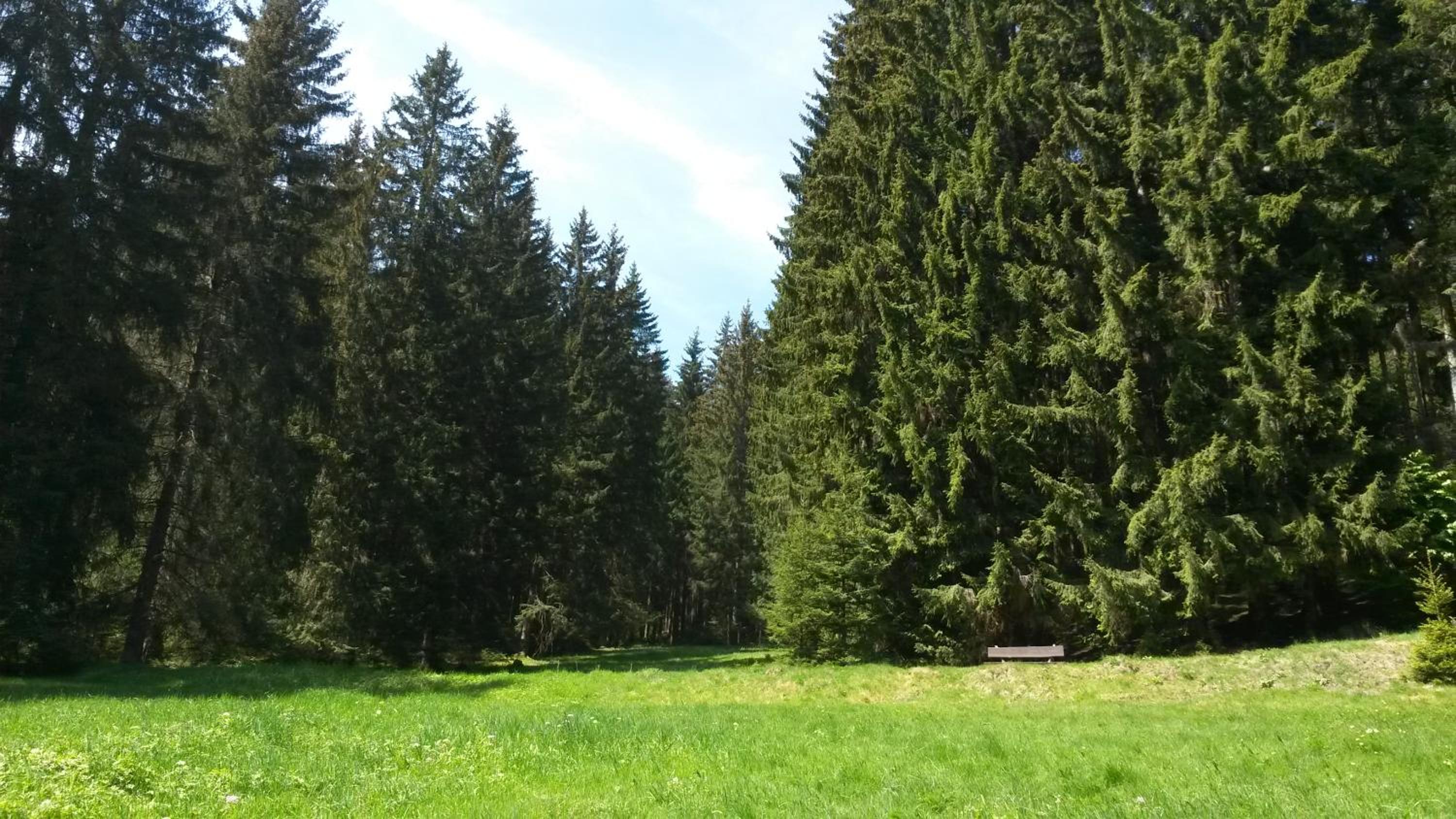 Ferienhaus Bad Hundertpfund Typ C