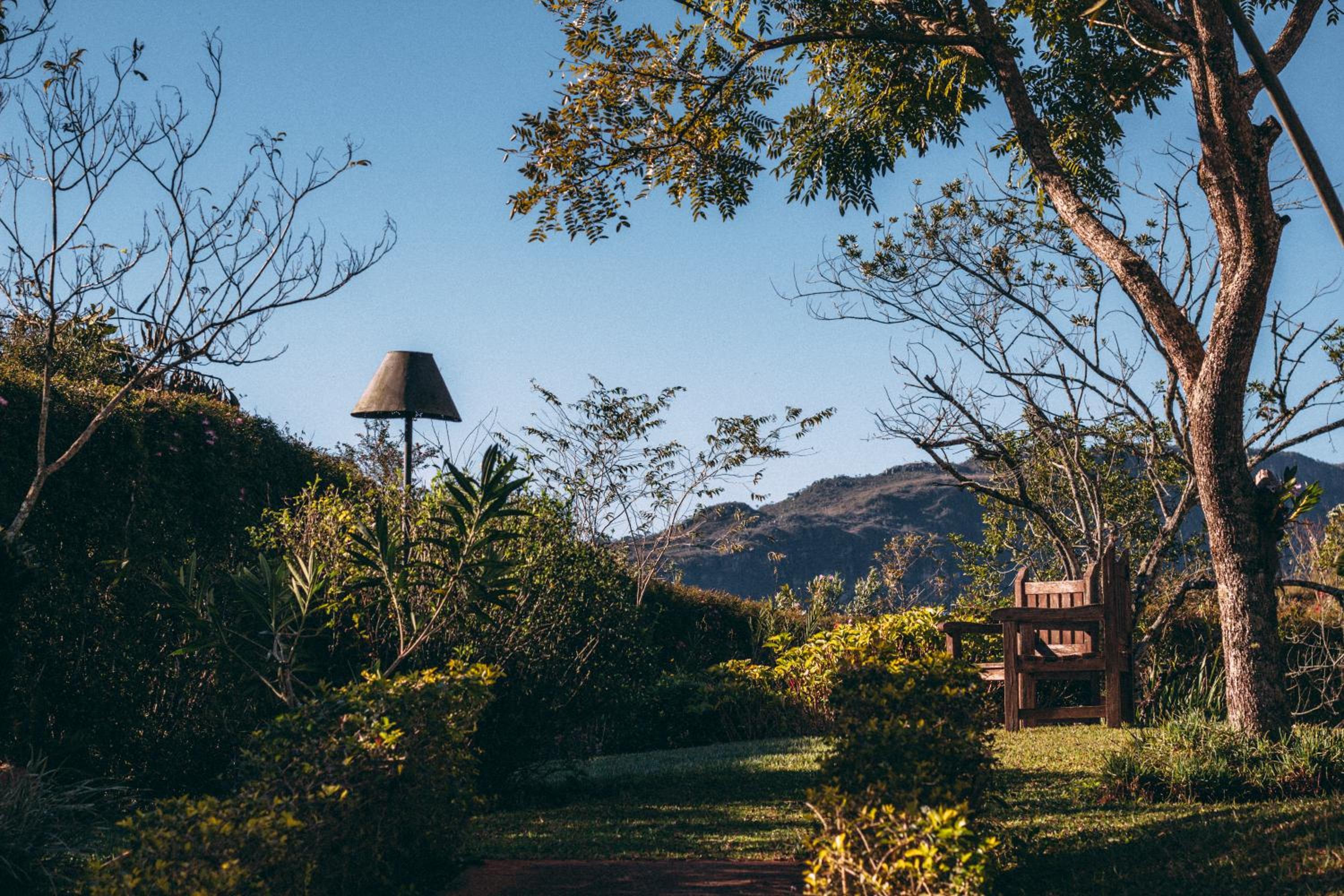 Amana Tiradentes