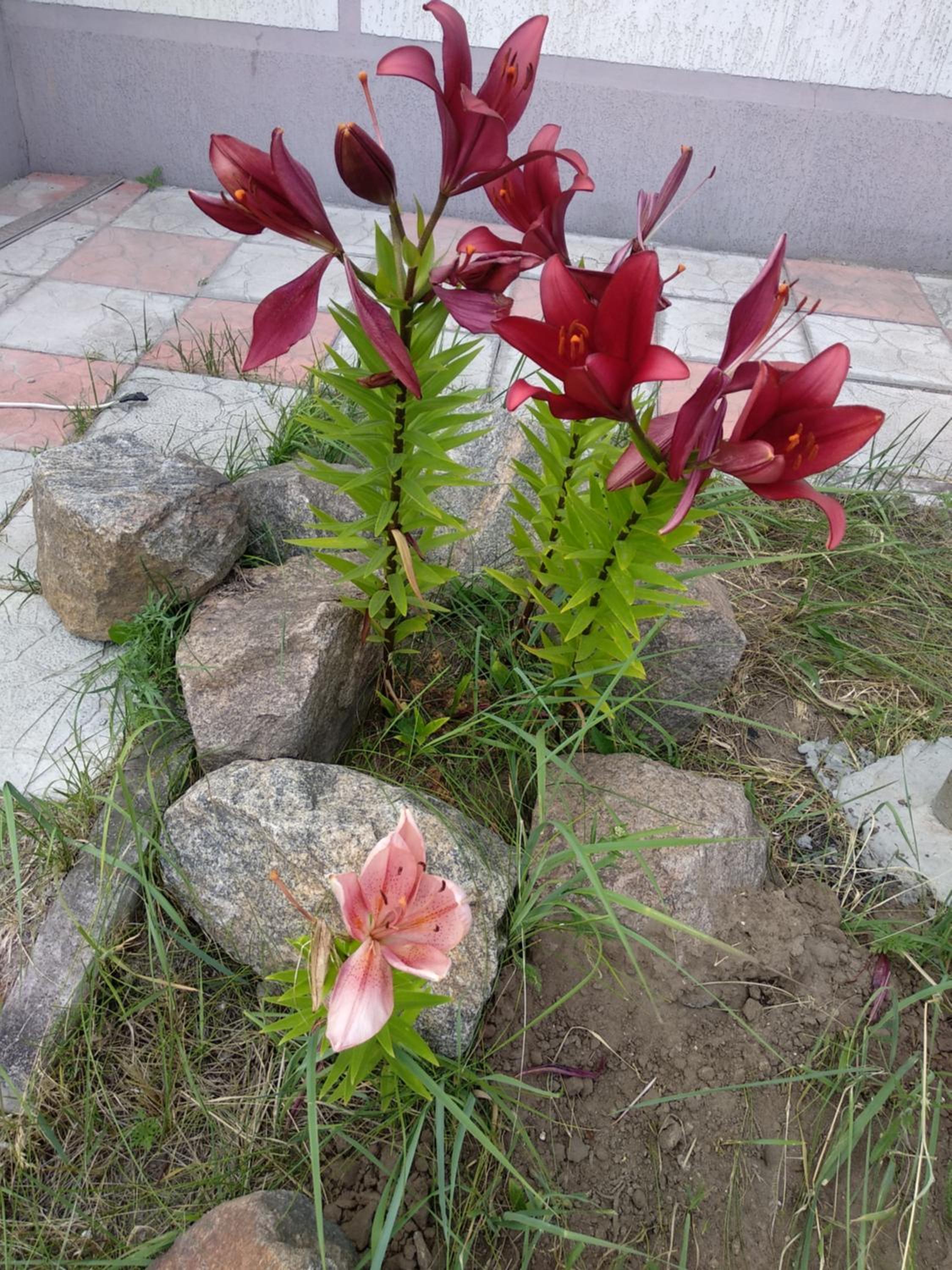 Photo 29