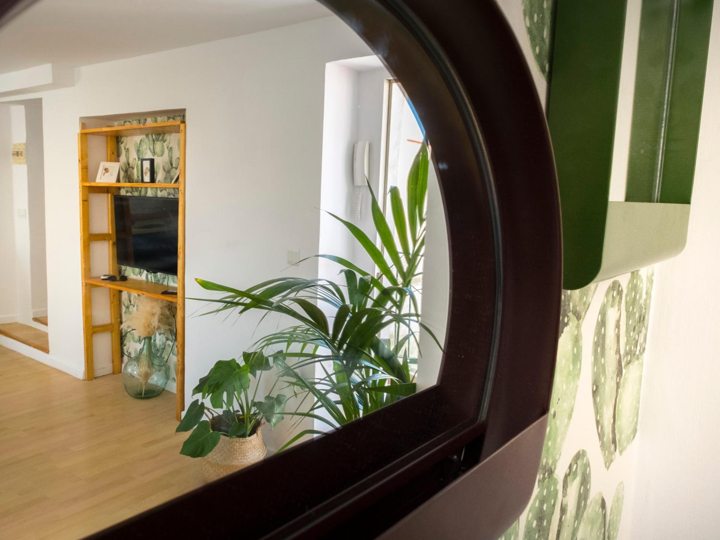 Apartamentos Veedor Cádiz photo 5