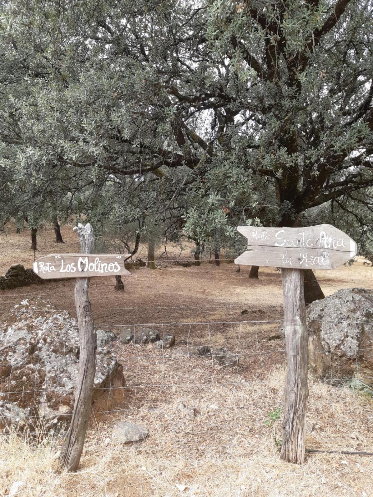El balcón de la sierra de Alájar view 3