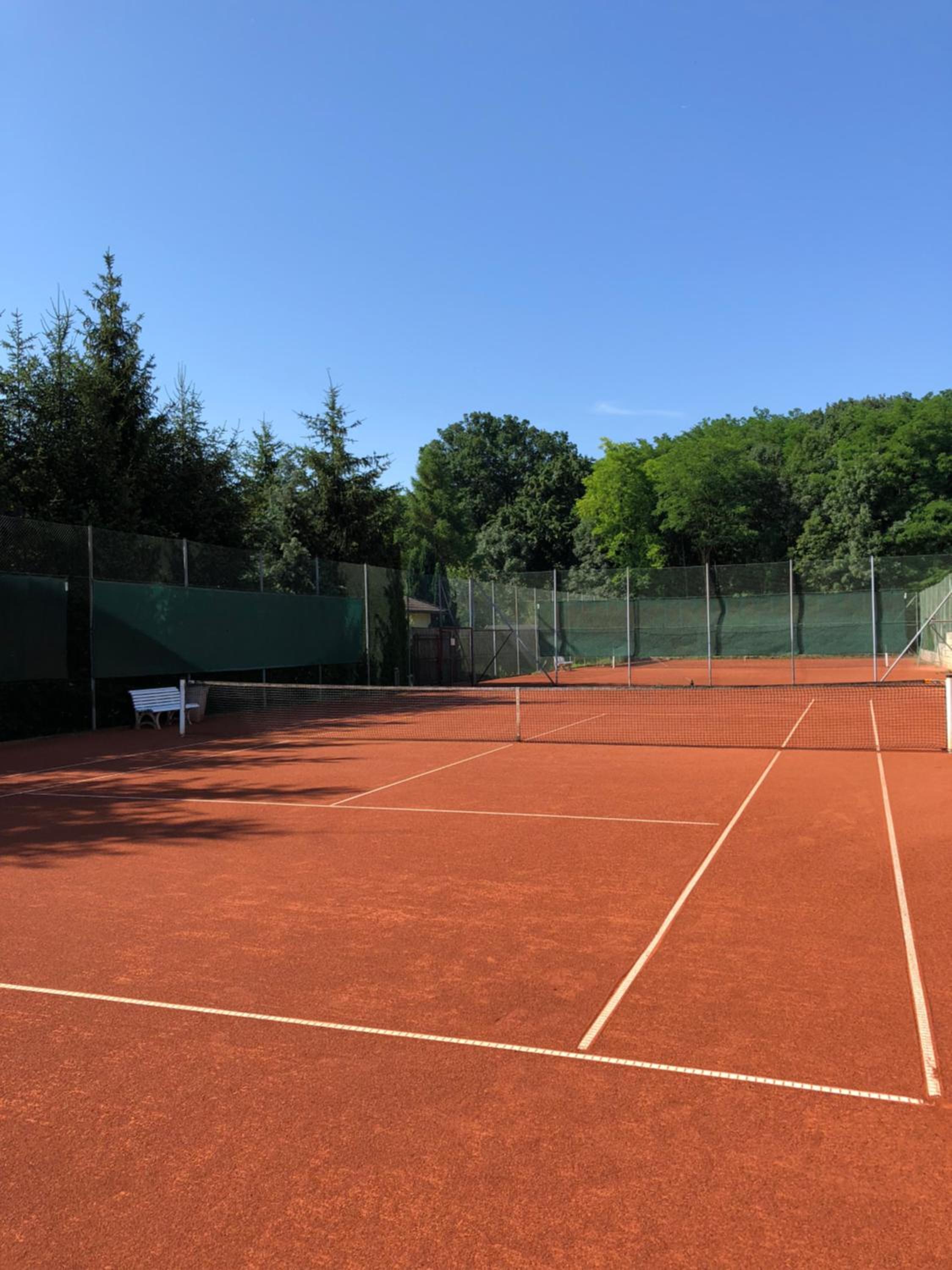 tennis