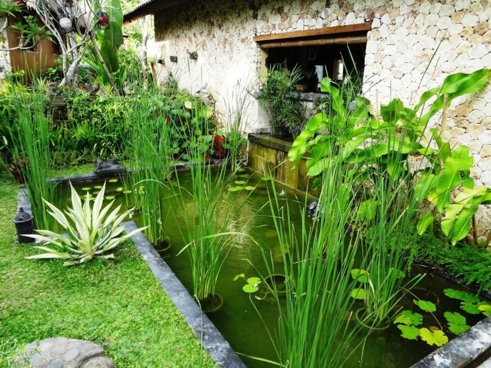 Villa Anjing