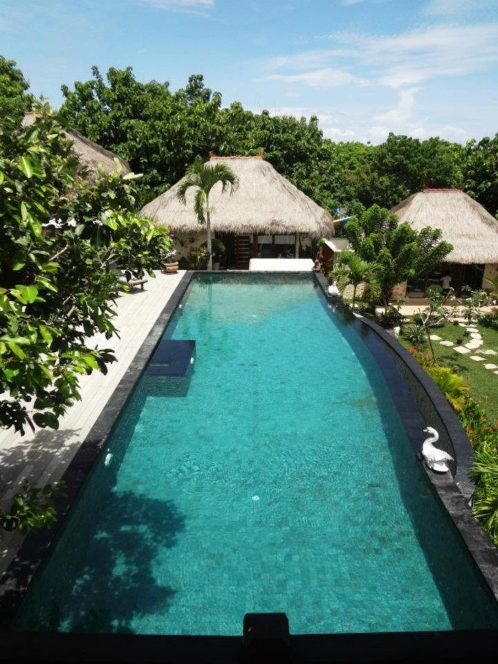 Villa Anjing