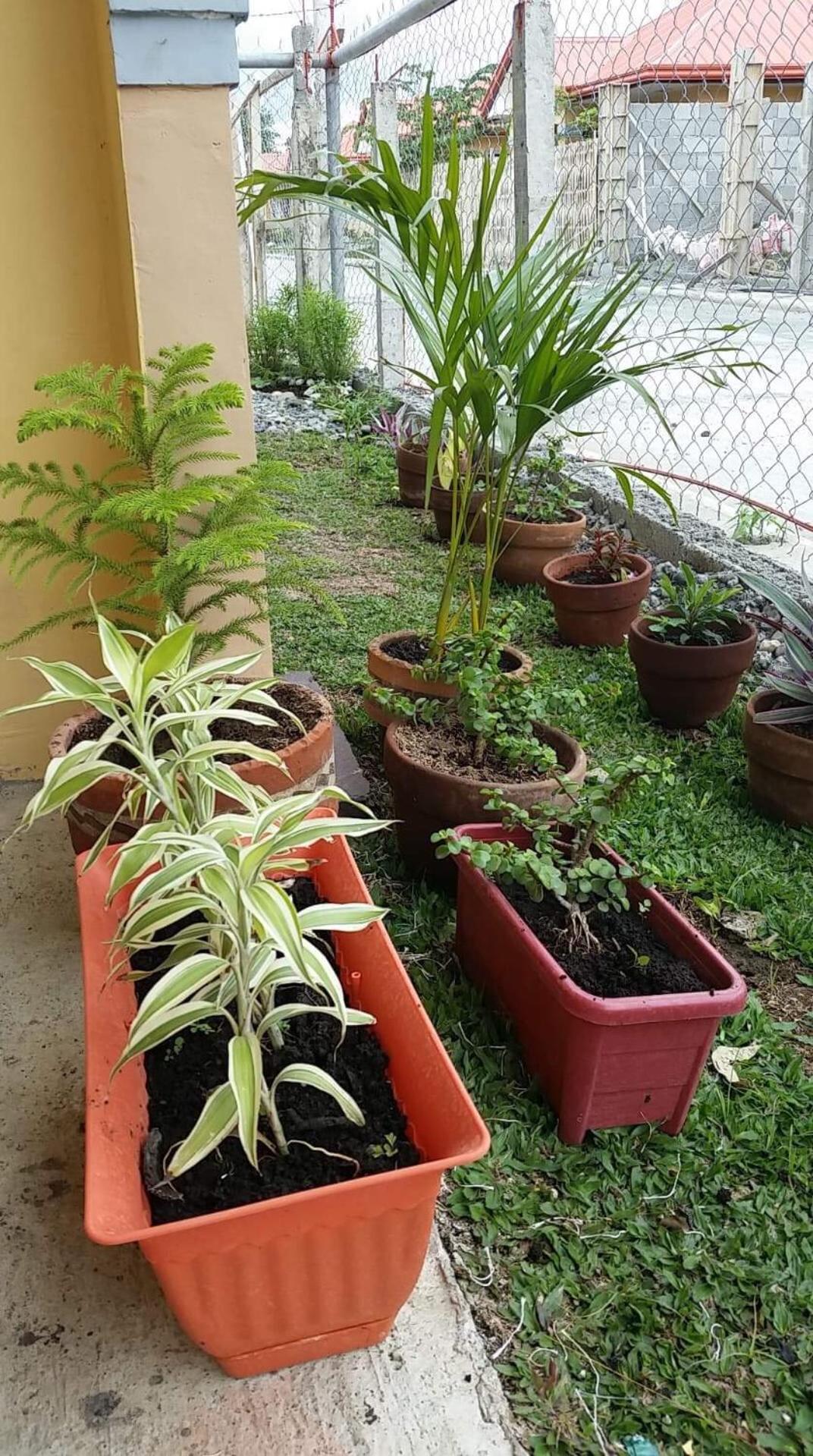 Jireh’s Guests Home
