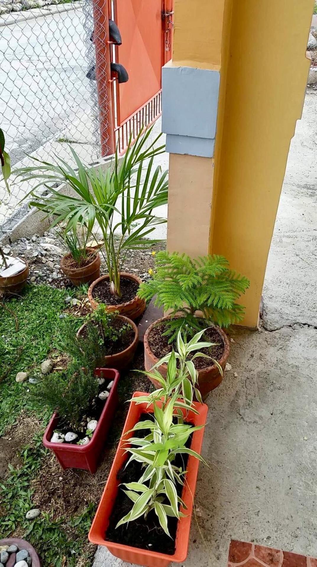 Jireh’s Guests Home