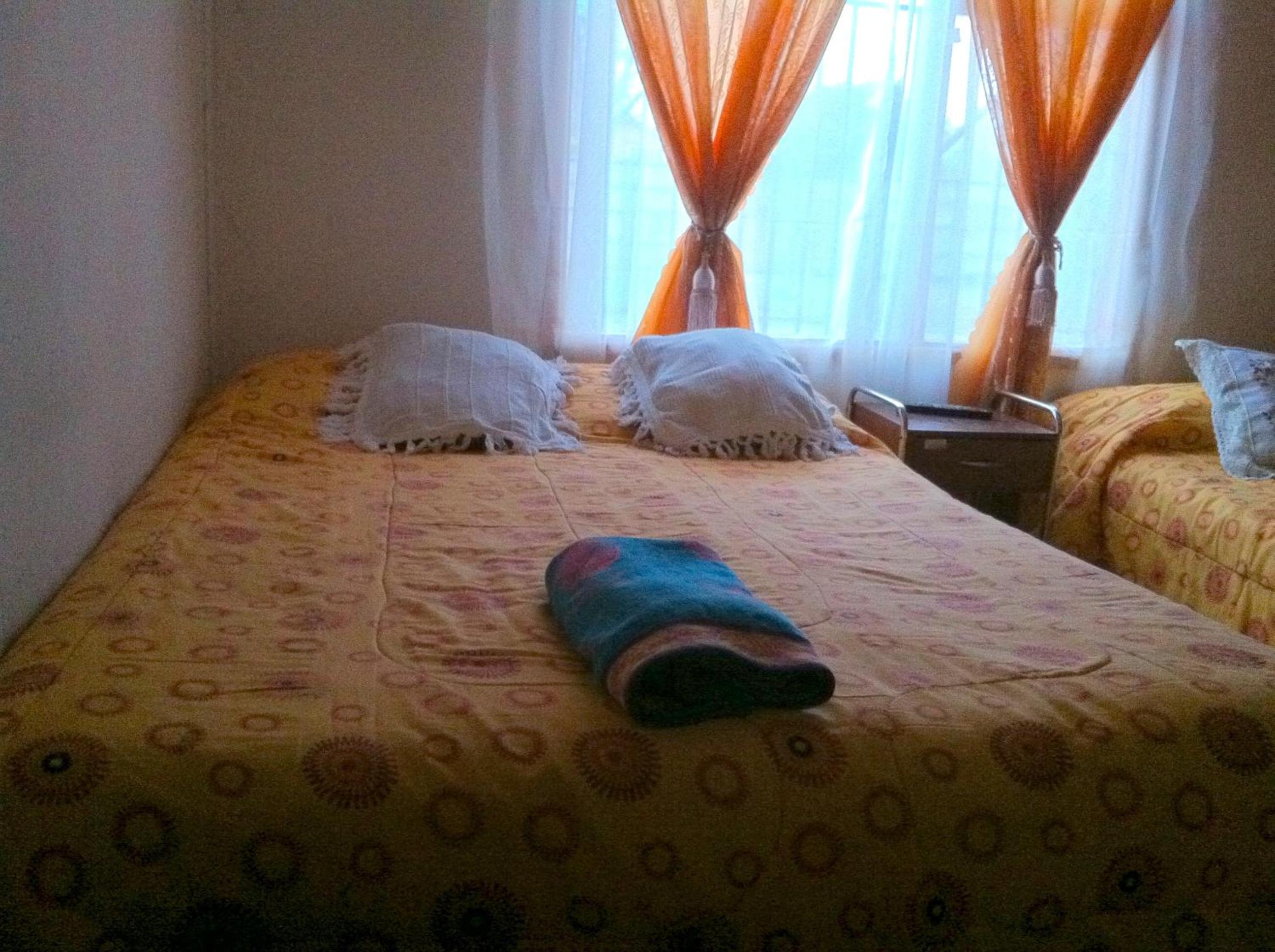 Photo 26