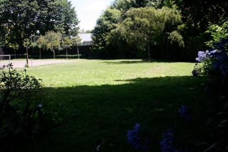 Photo 38