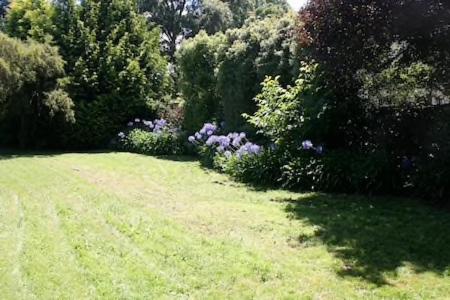Photo 49