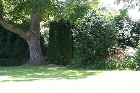 Photo 57