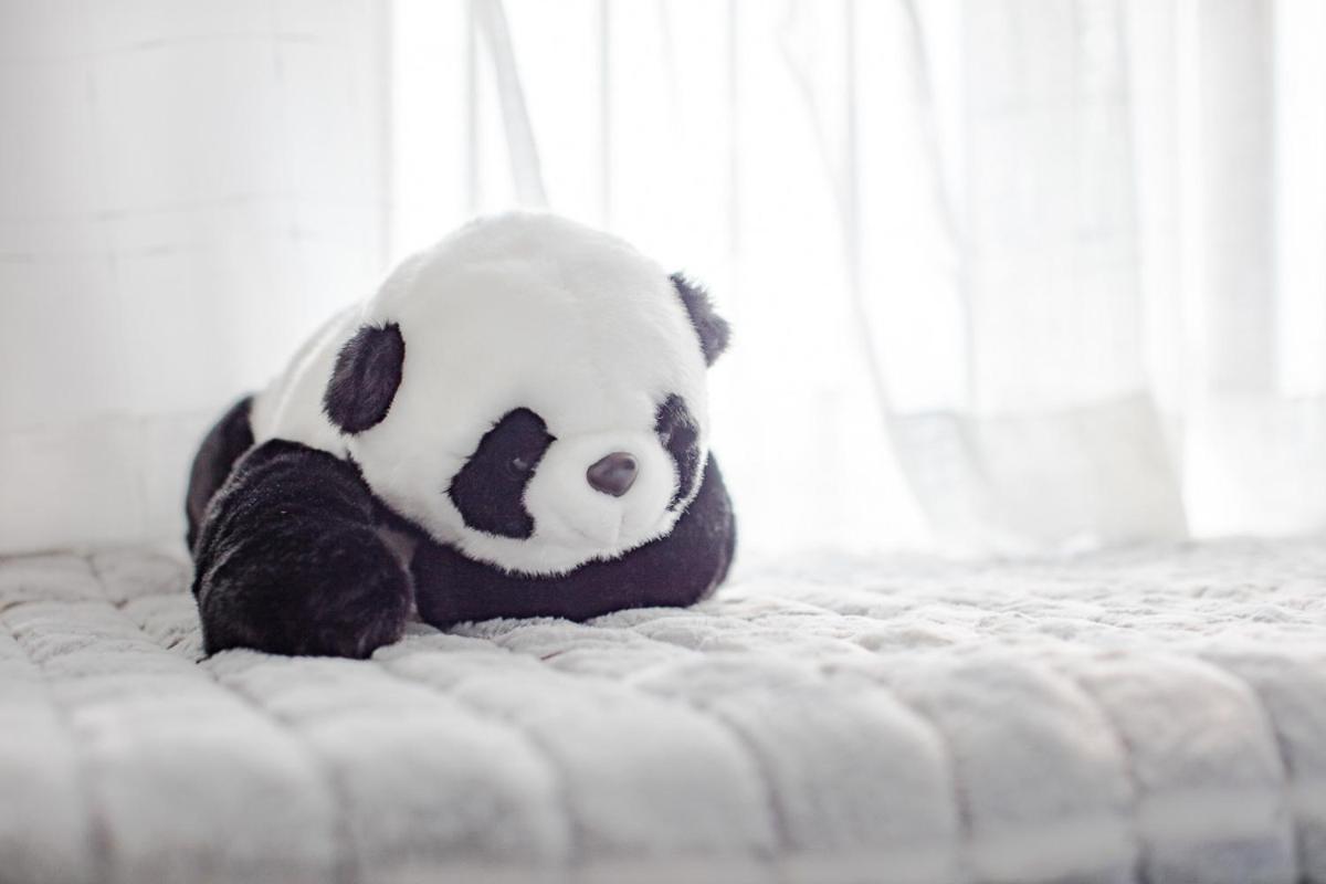 Chengdu Chenghua·Giant Panda Breeding Base Locals Apartment 00169920