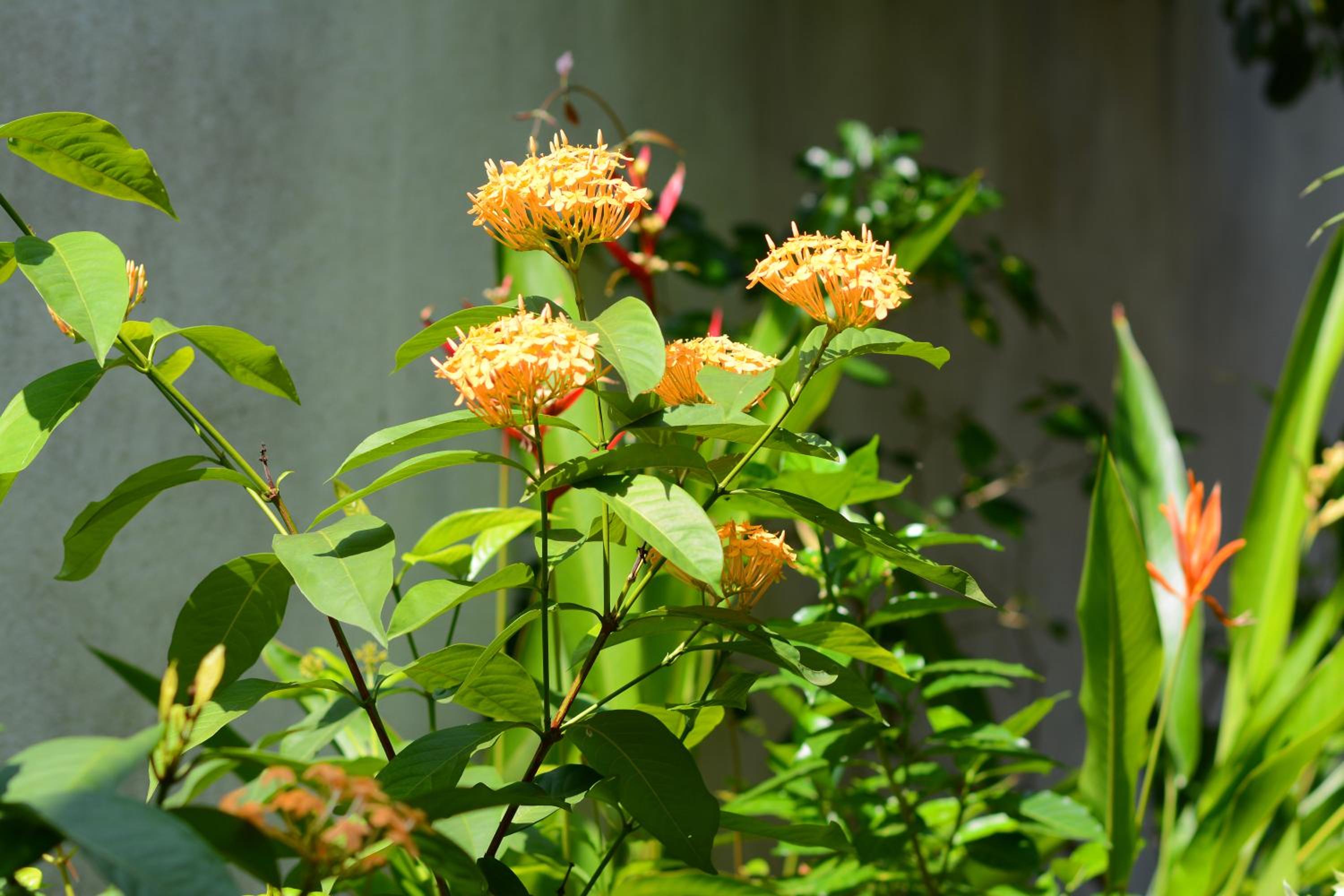 Photo 49