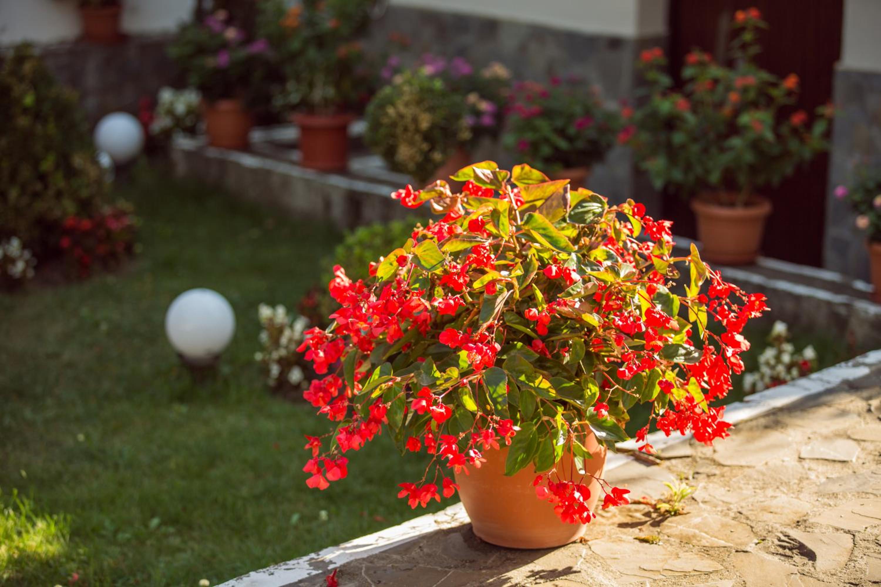 Simar Bed & Coffee Guesthouse