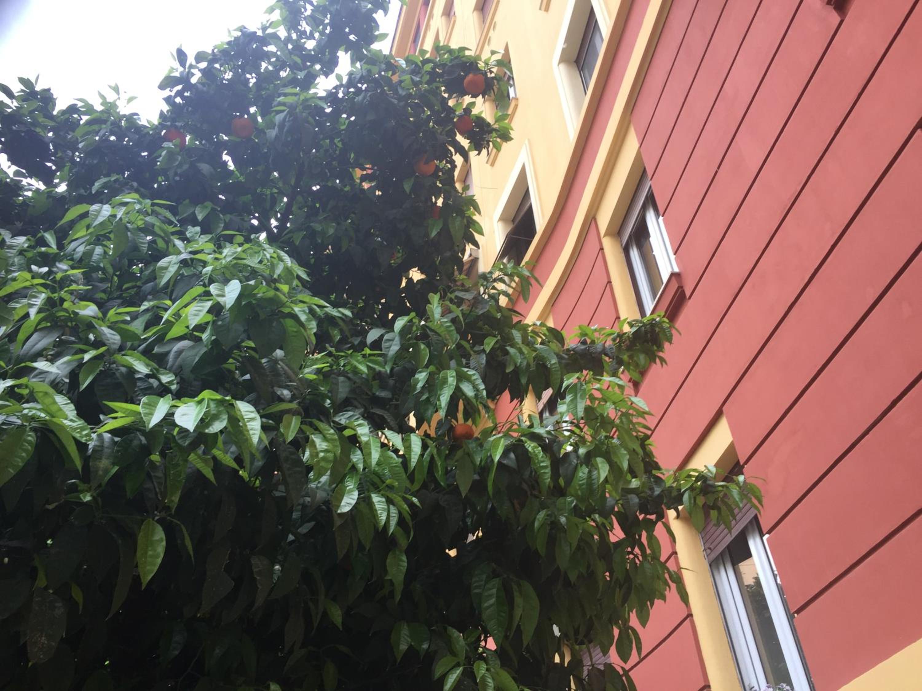 Casa Volver