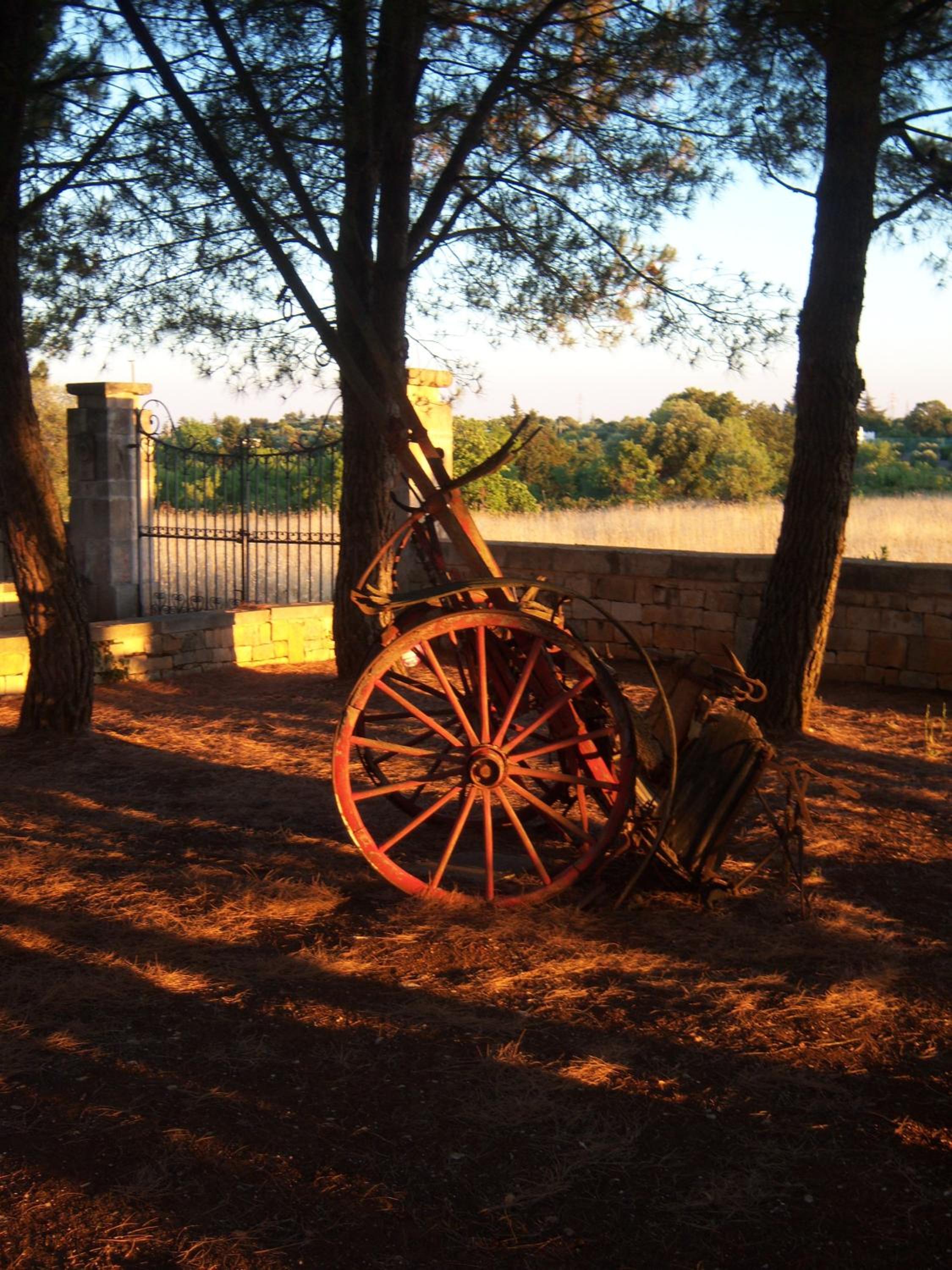 Masseria Tolla