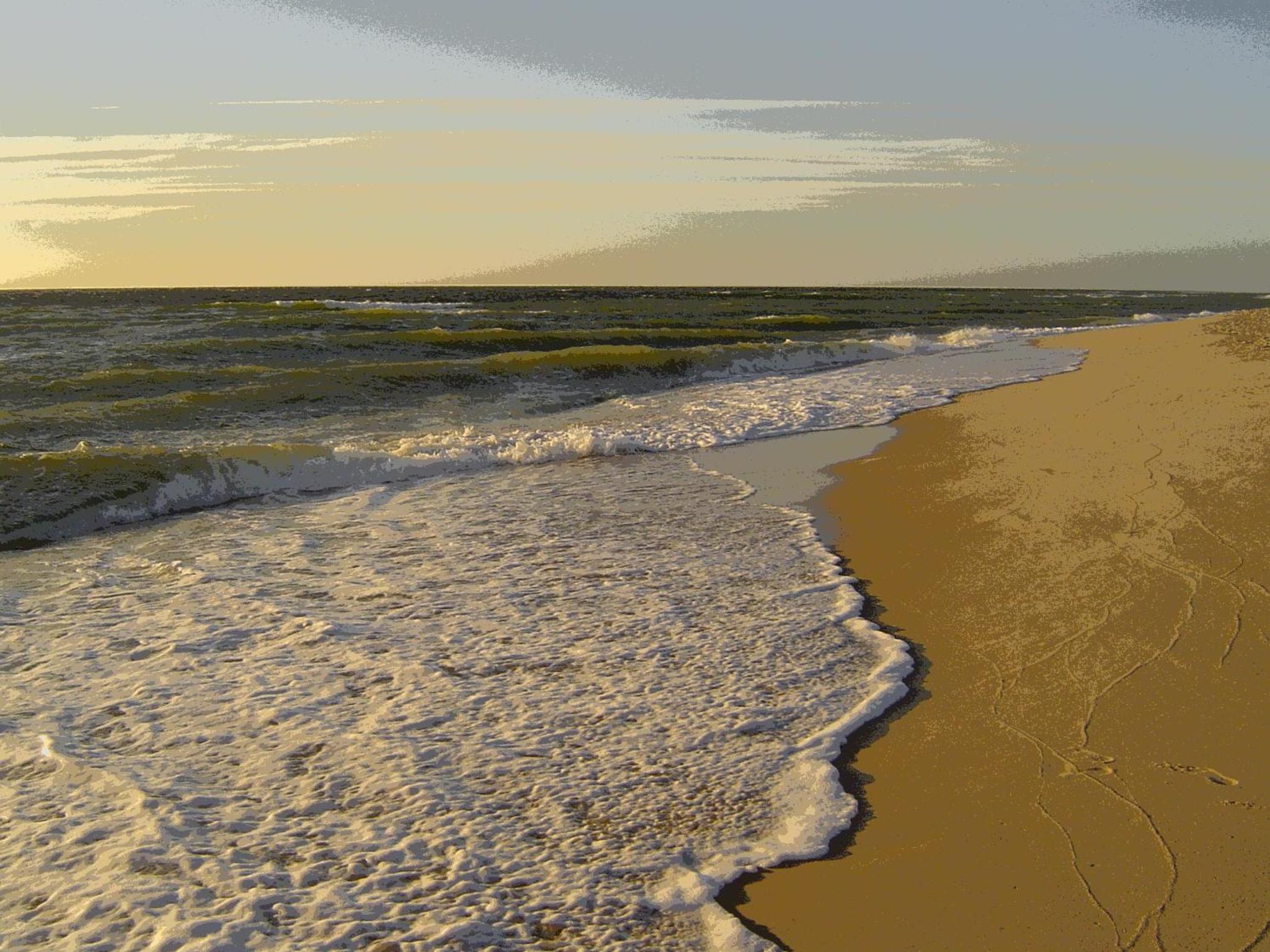 Photo 47