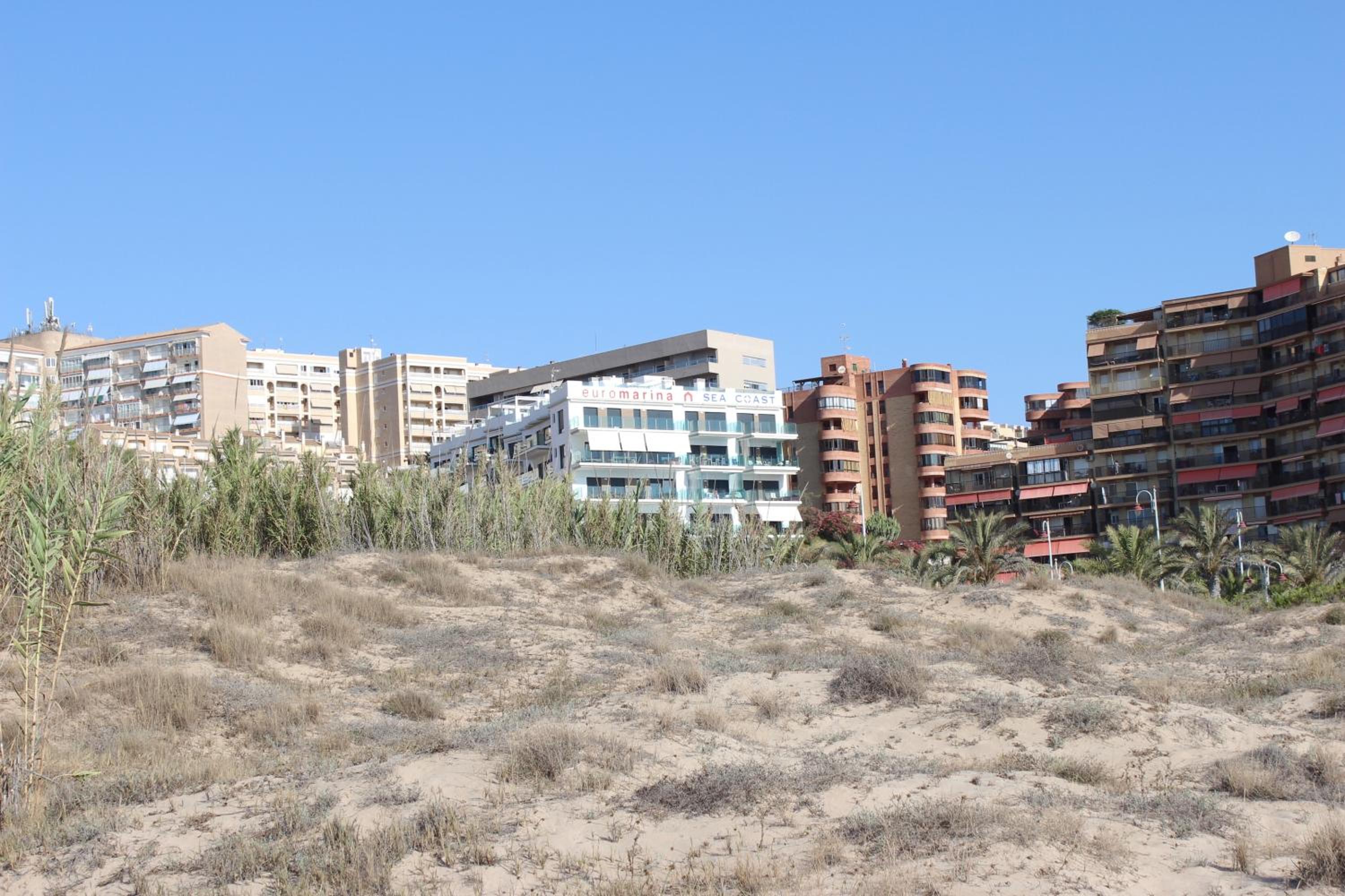 Arenales Beach view 2