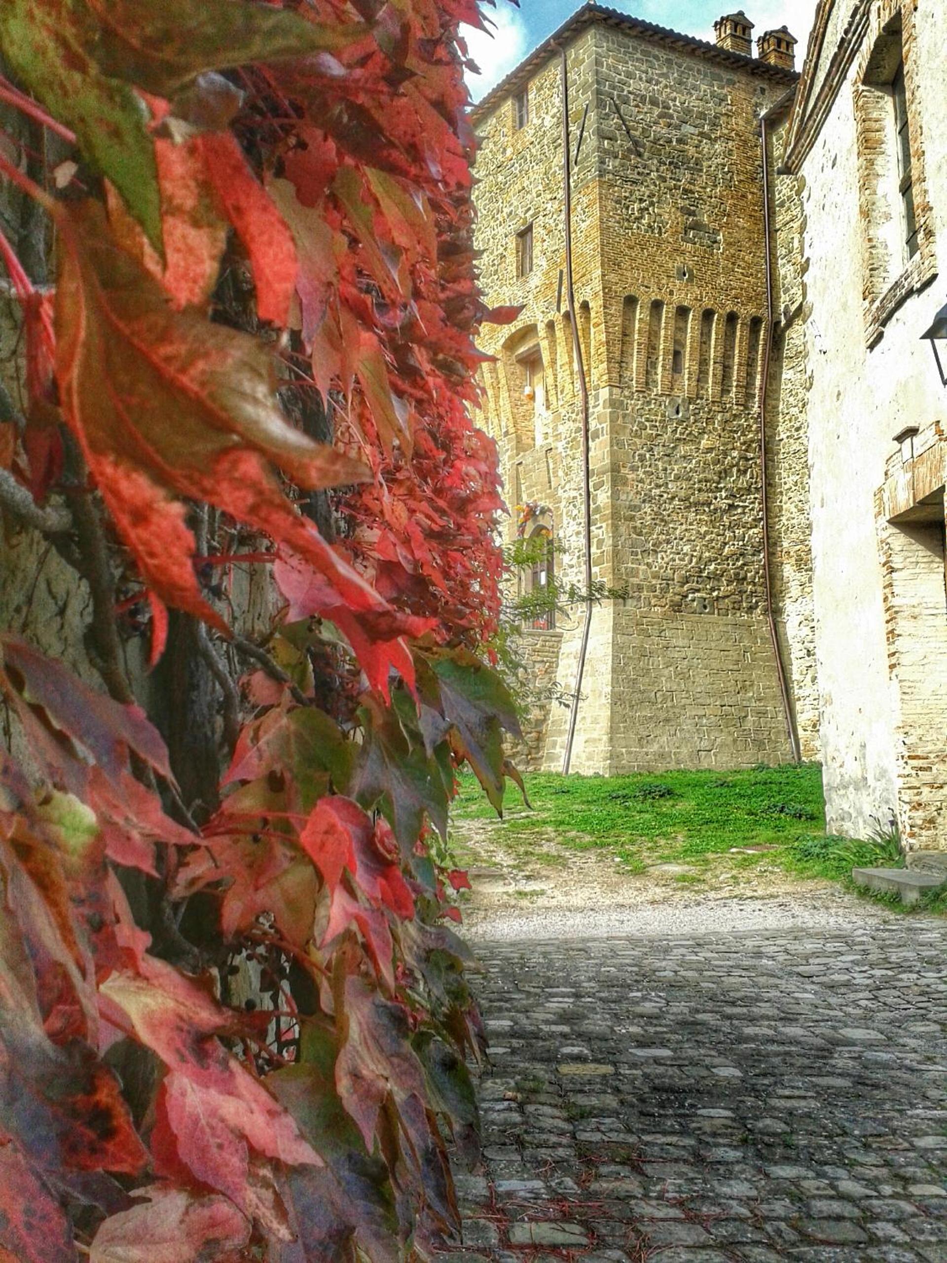 B&B La Rocca