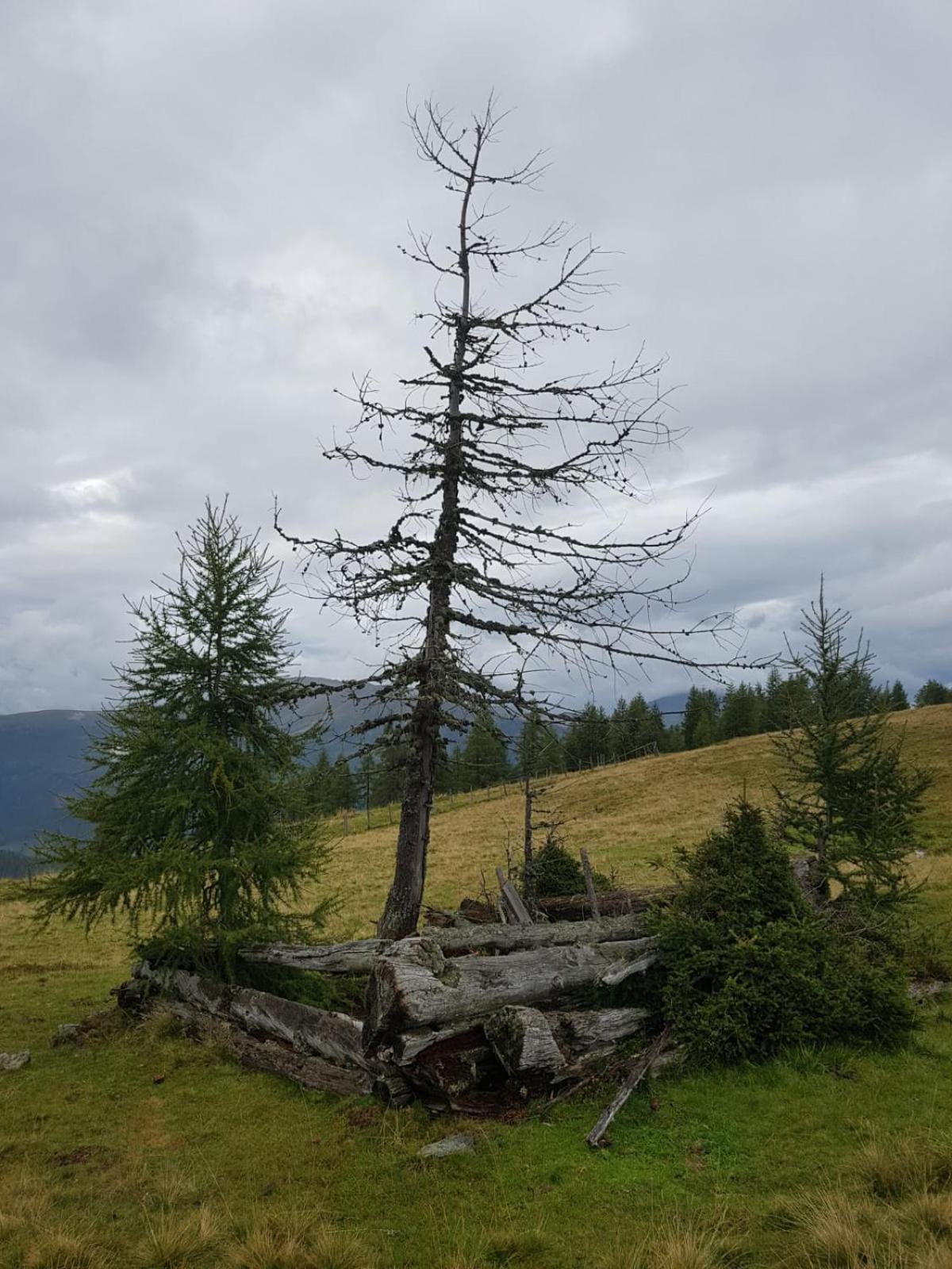 Neuwirth Hütte