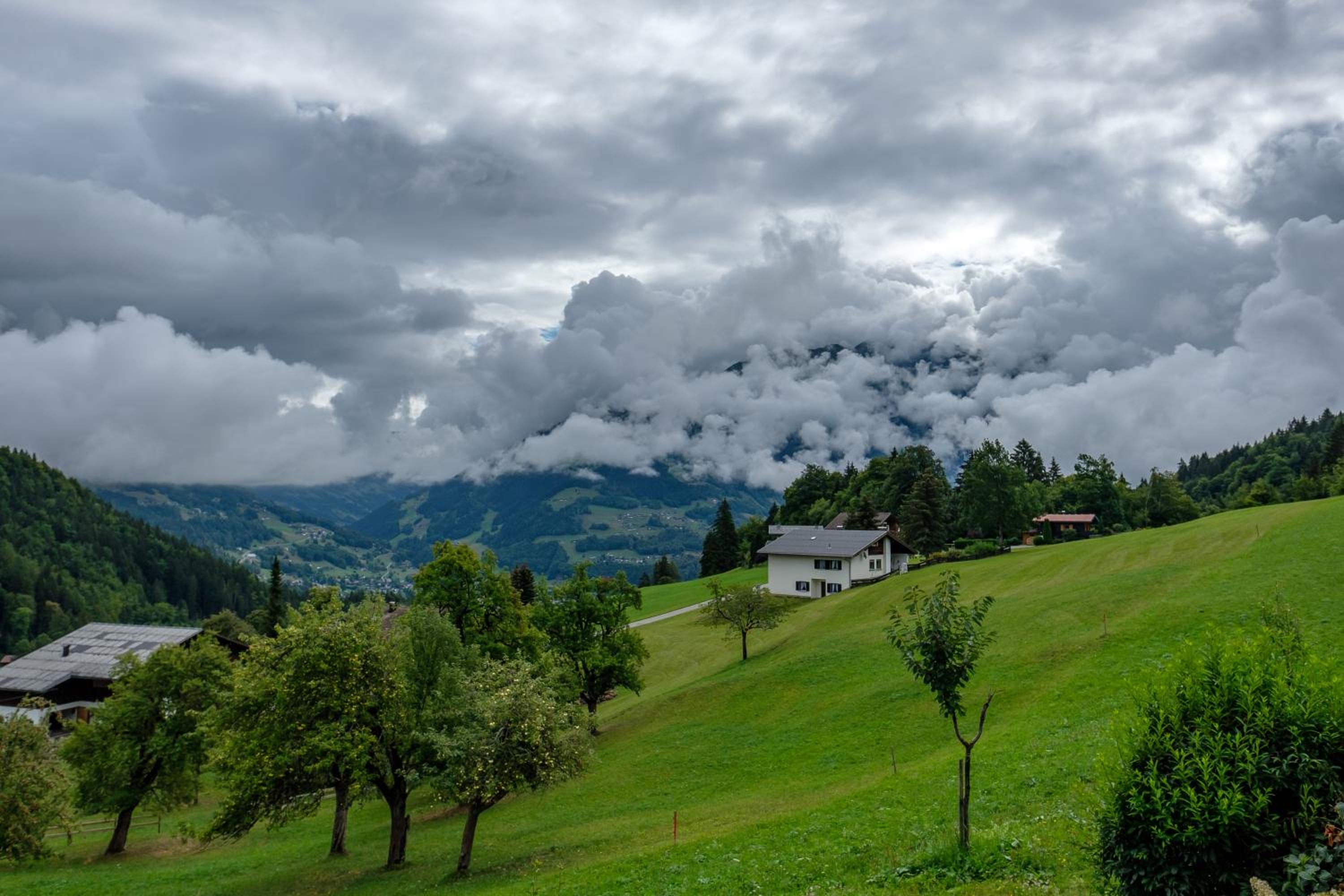 Photo 20