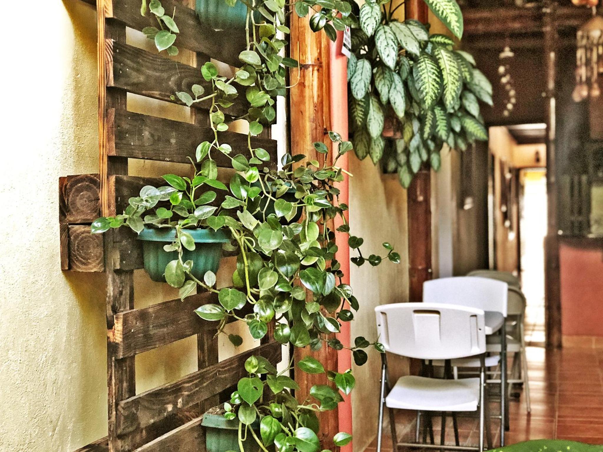 Hotel Pacande B&B
