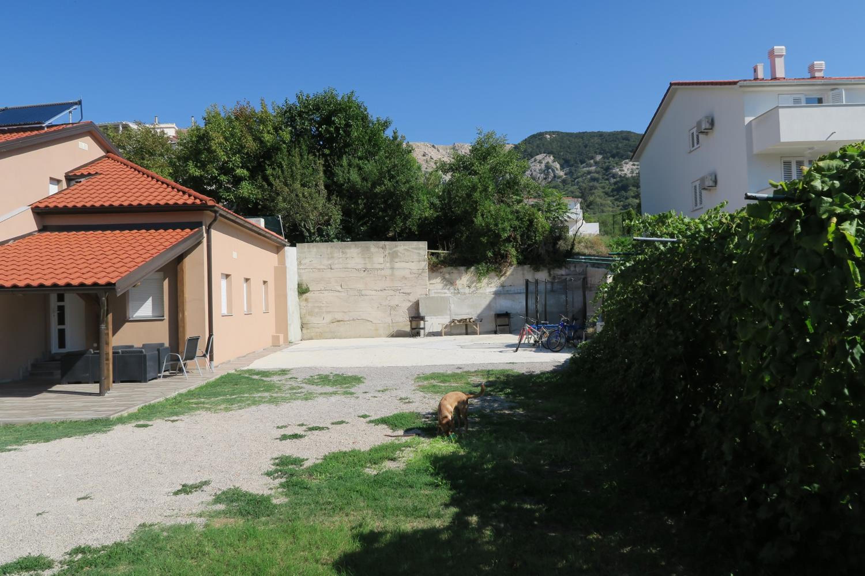 Photo 41