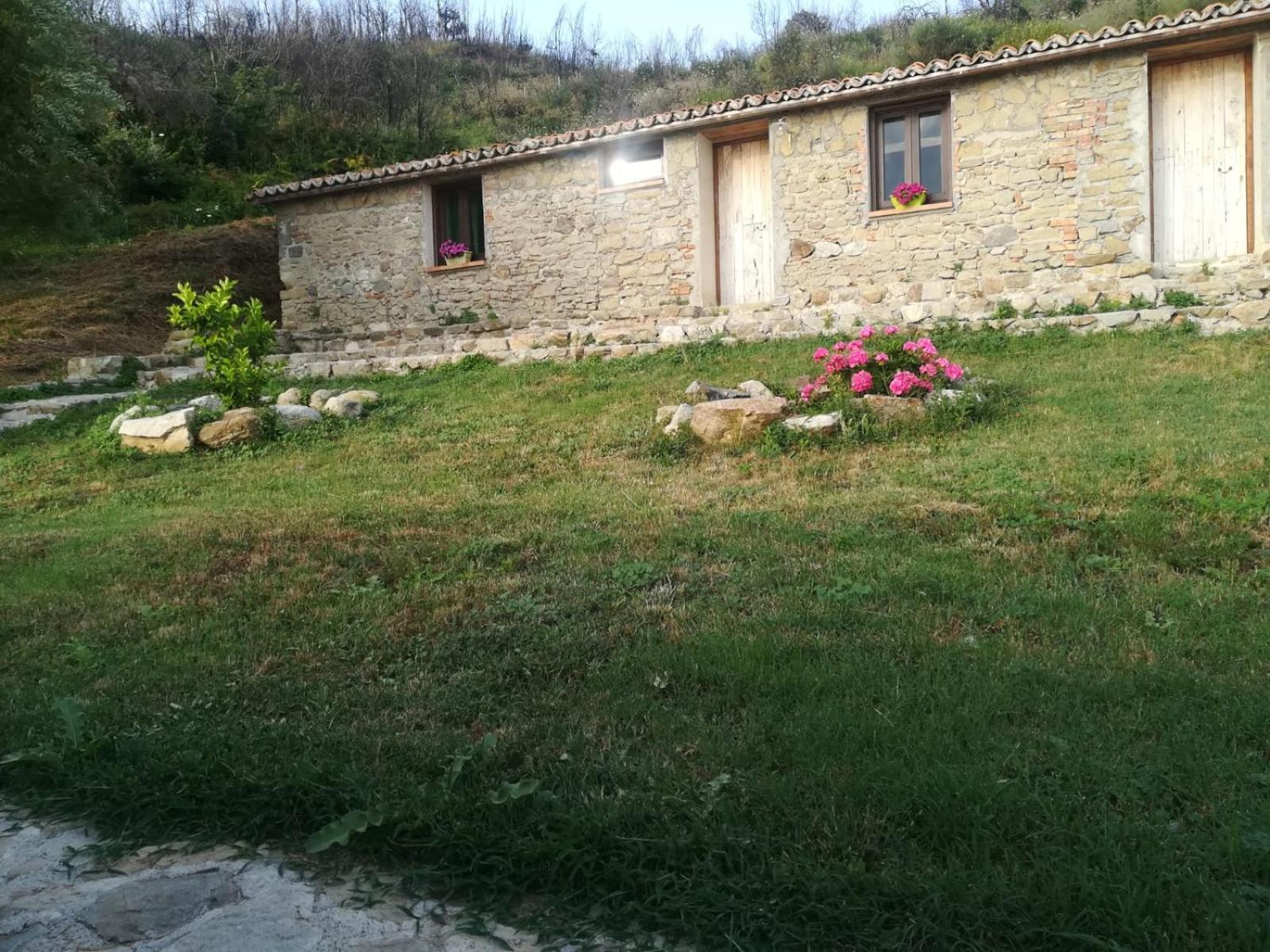 Photo 26