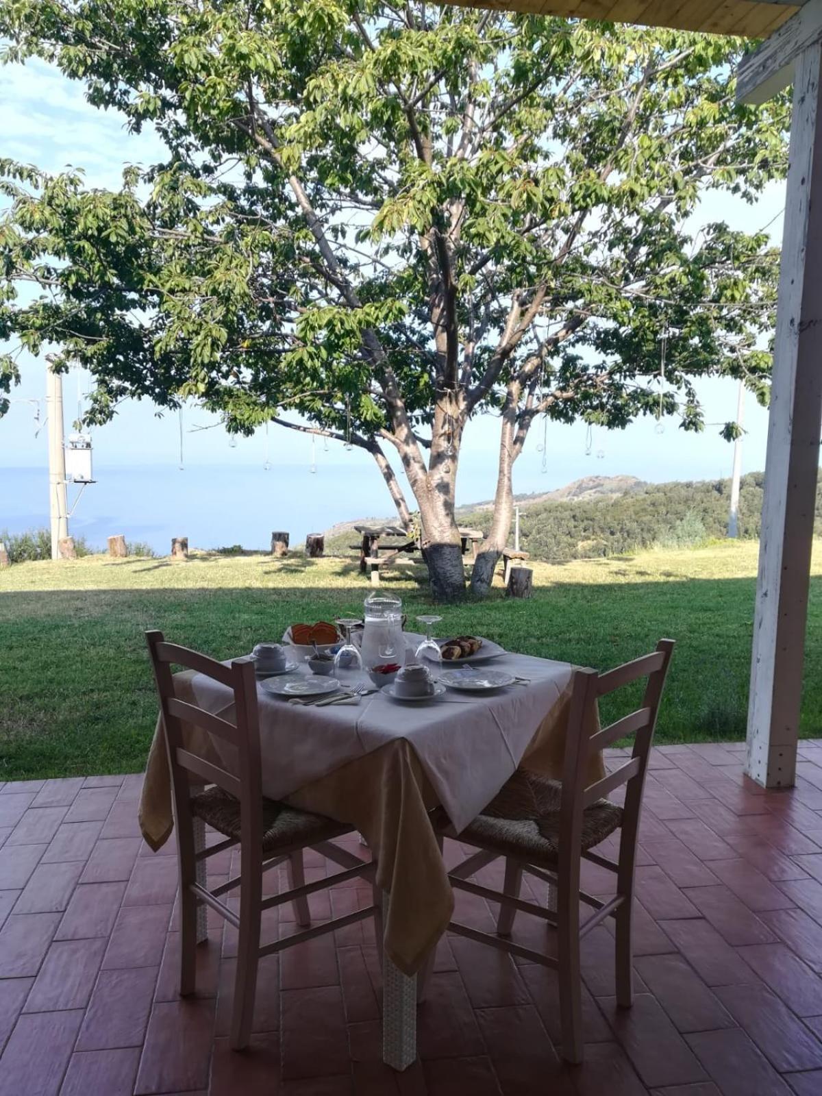 Il Cerro Agriturismo Zagarese view 5