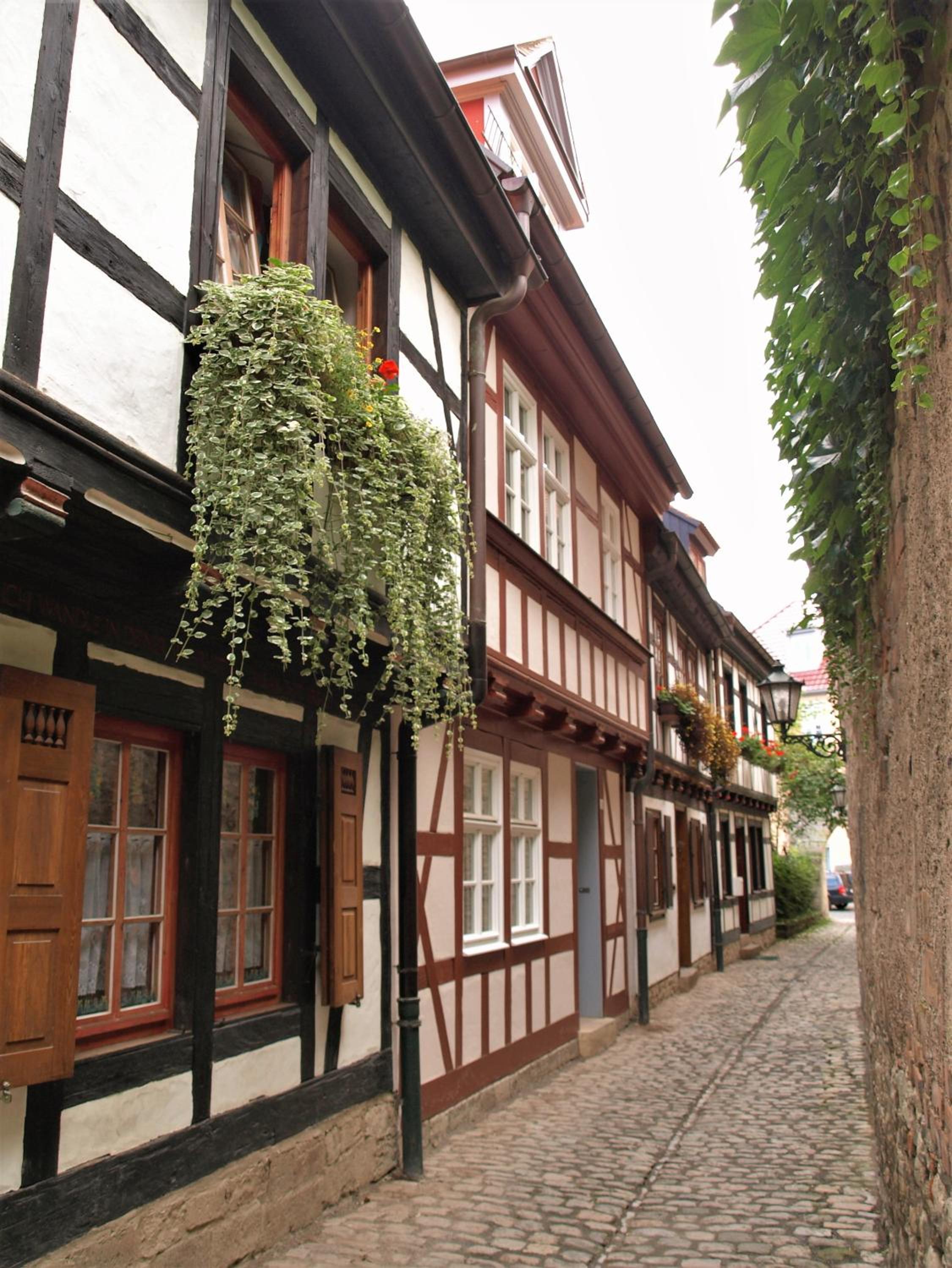Gäste-Maisonette Martinus view 2
