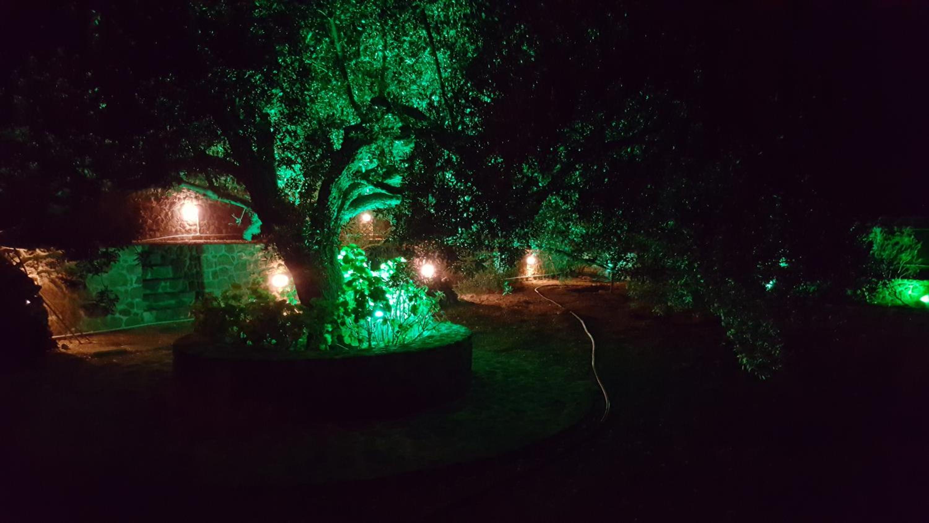Villa Politimi at Aegina