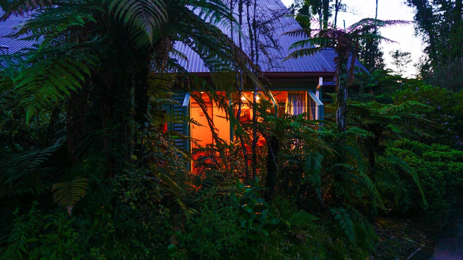 Punga Grove