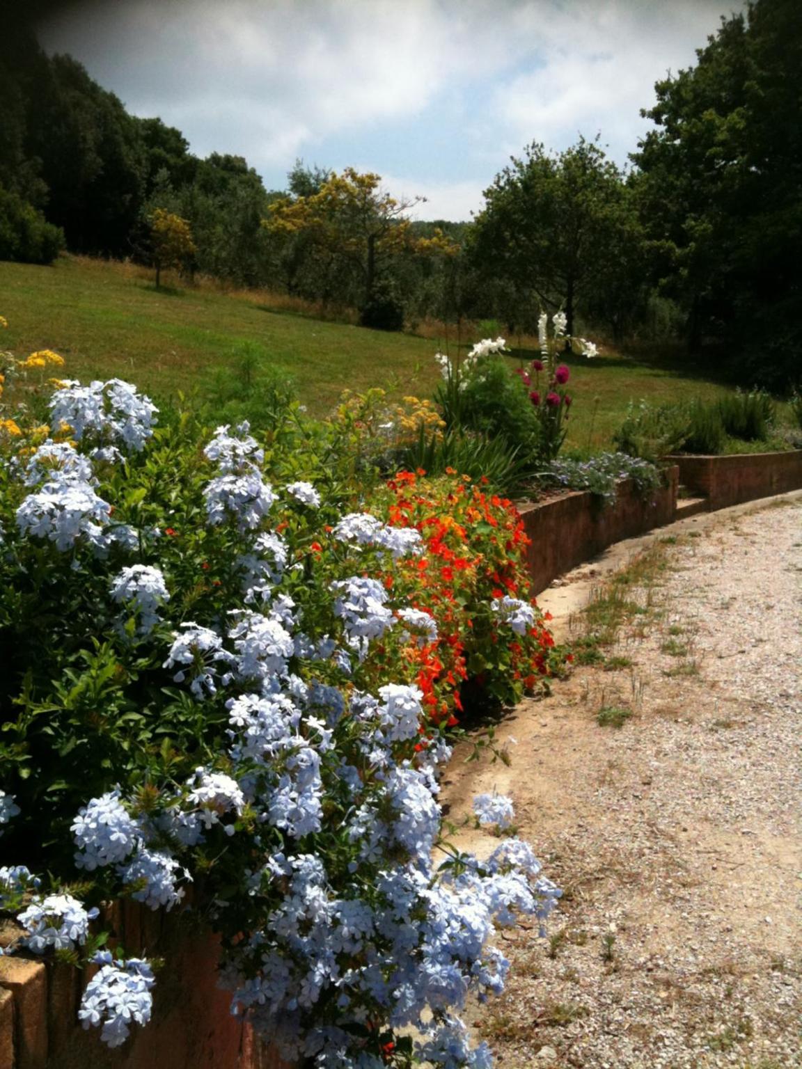 Photo 46