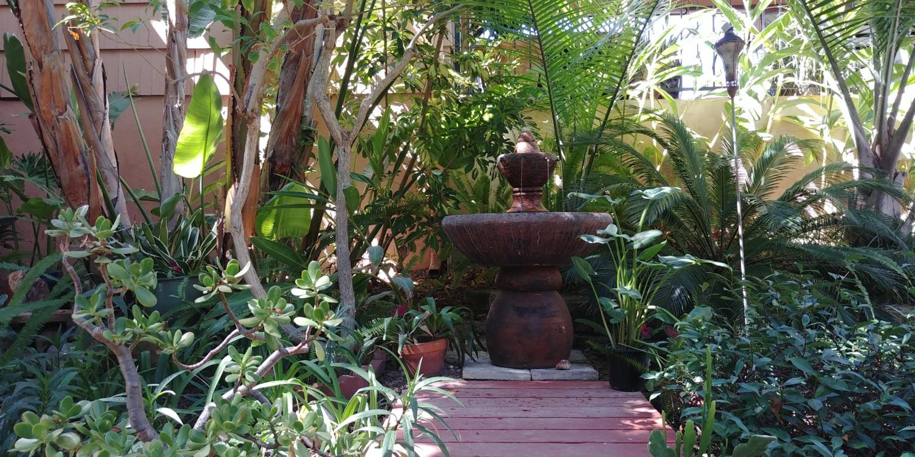 Casa Tranquility