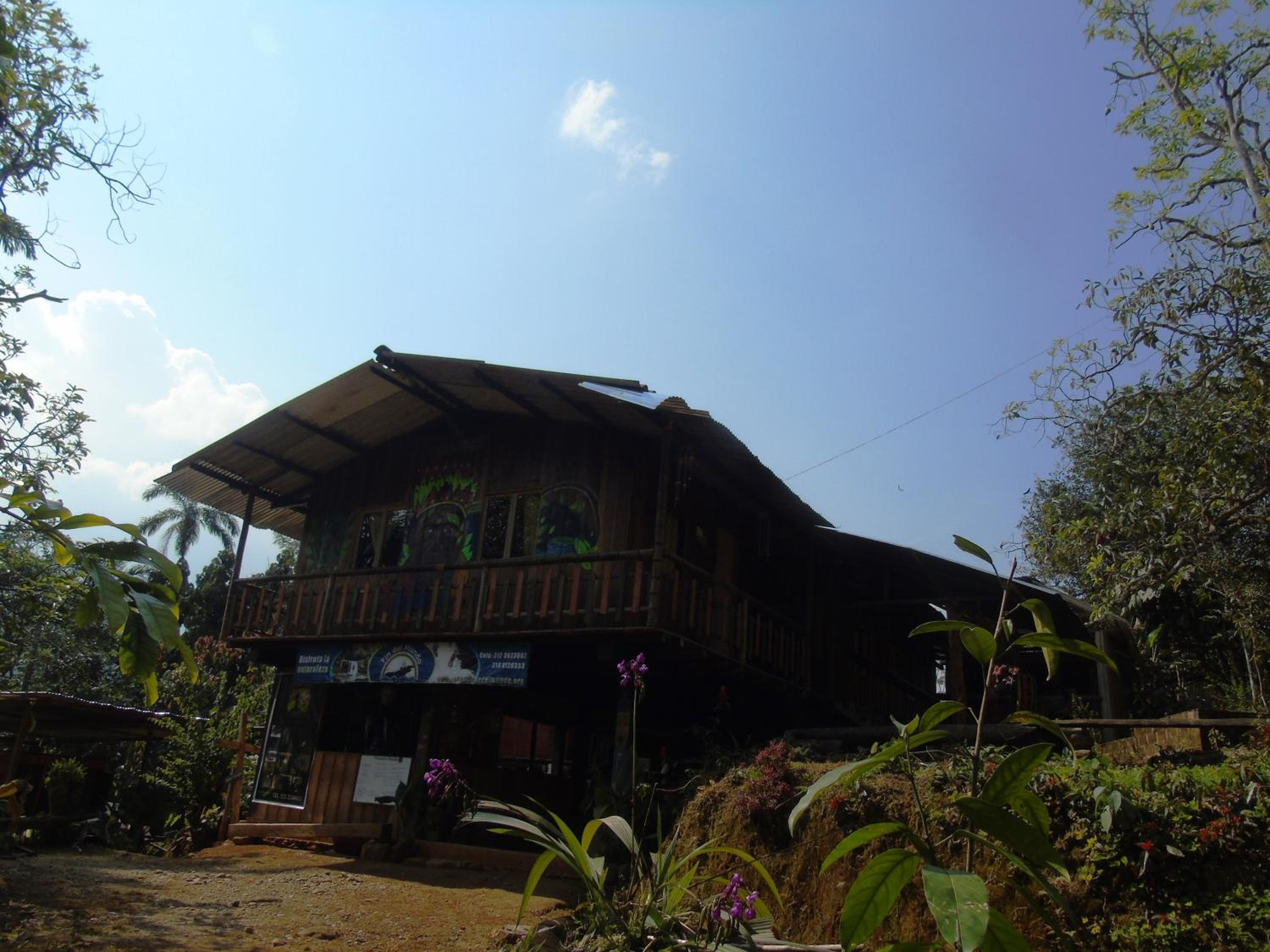Photo 19