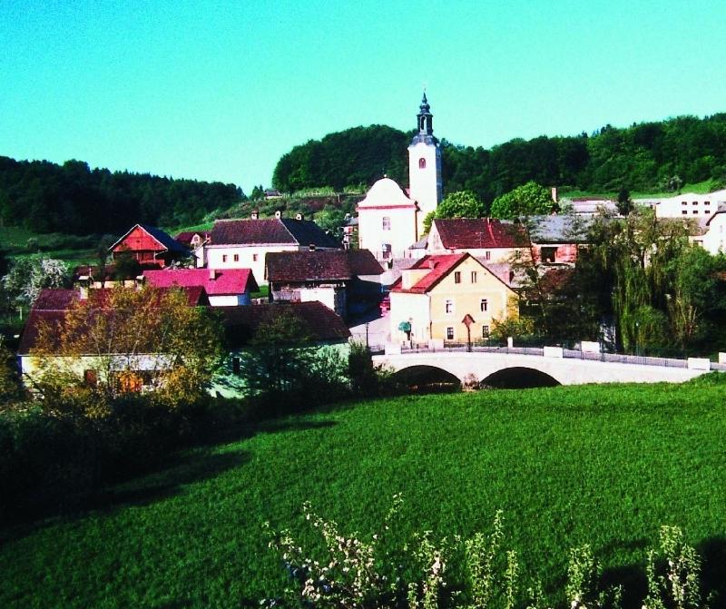 Marinčič Inn view 5