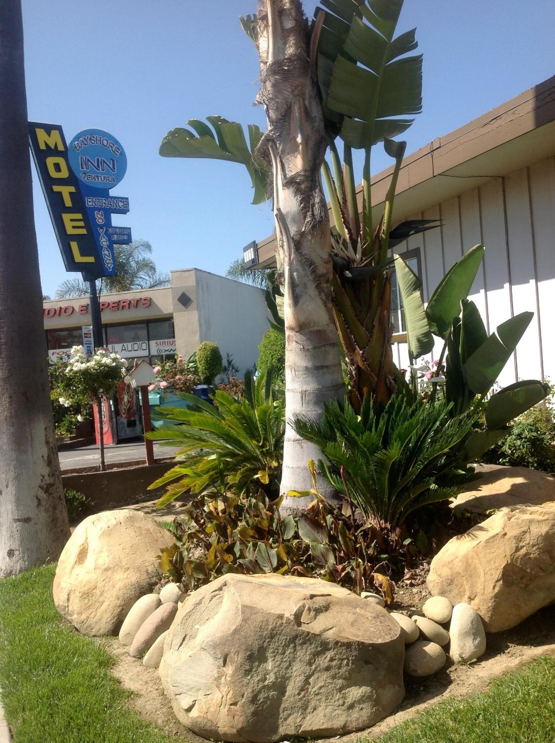 Ventura Vacations - Bayshore Inn Ventura - Property Image 14